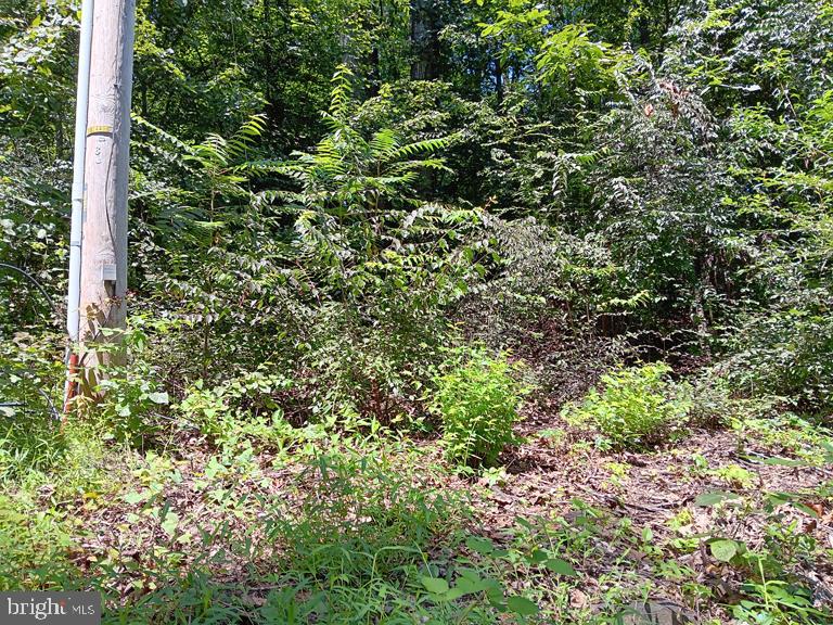 804 CHESTNUT HILL ROAD