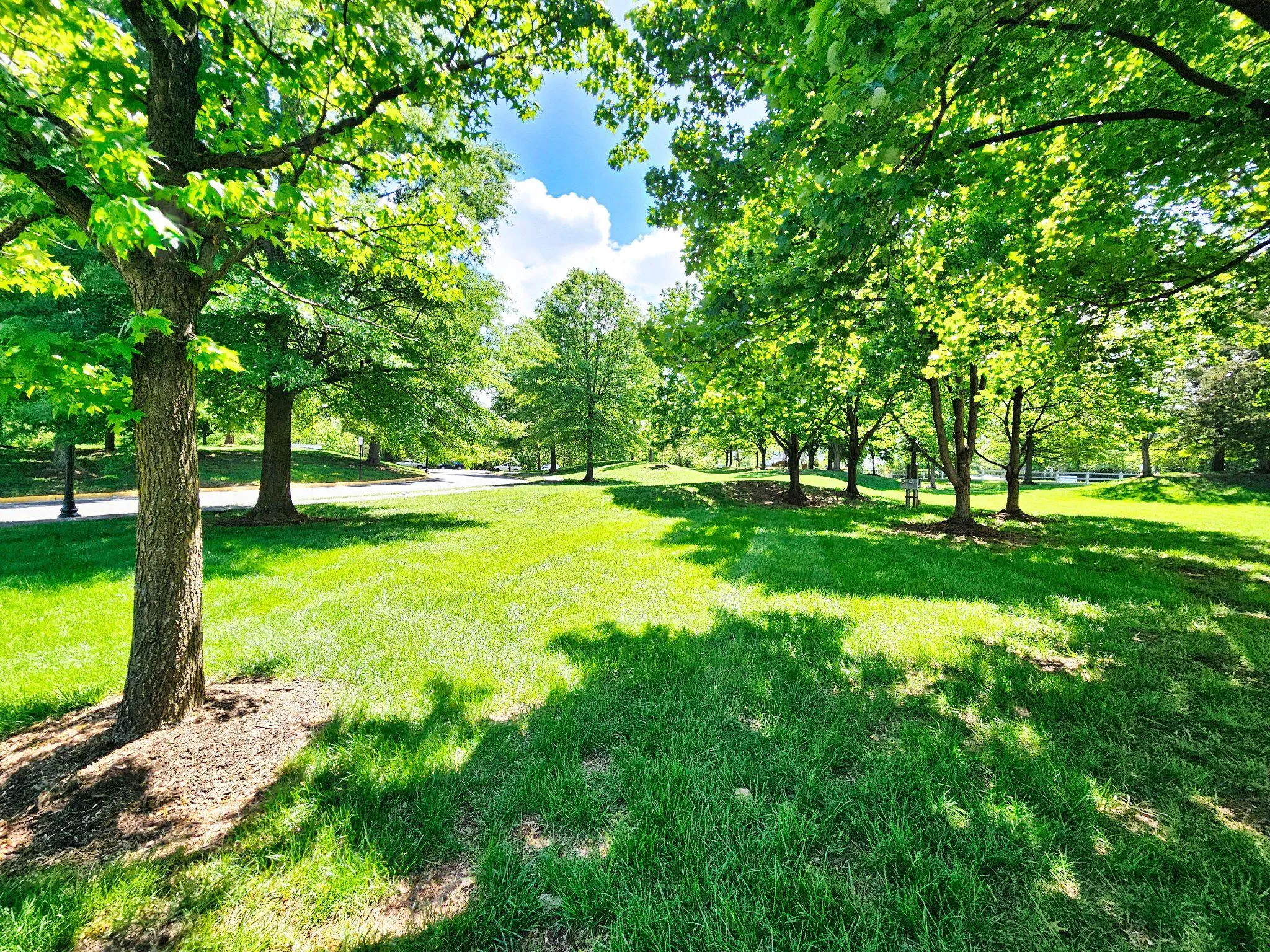 Additional image 163 of 21747 Kings Crossing Terrace, Ashburn, VA 20147
