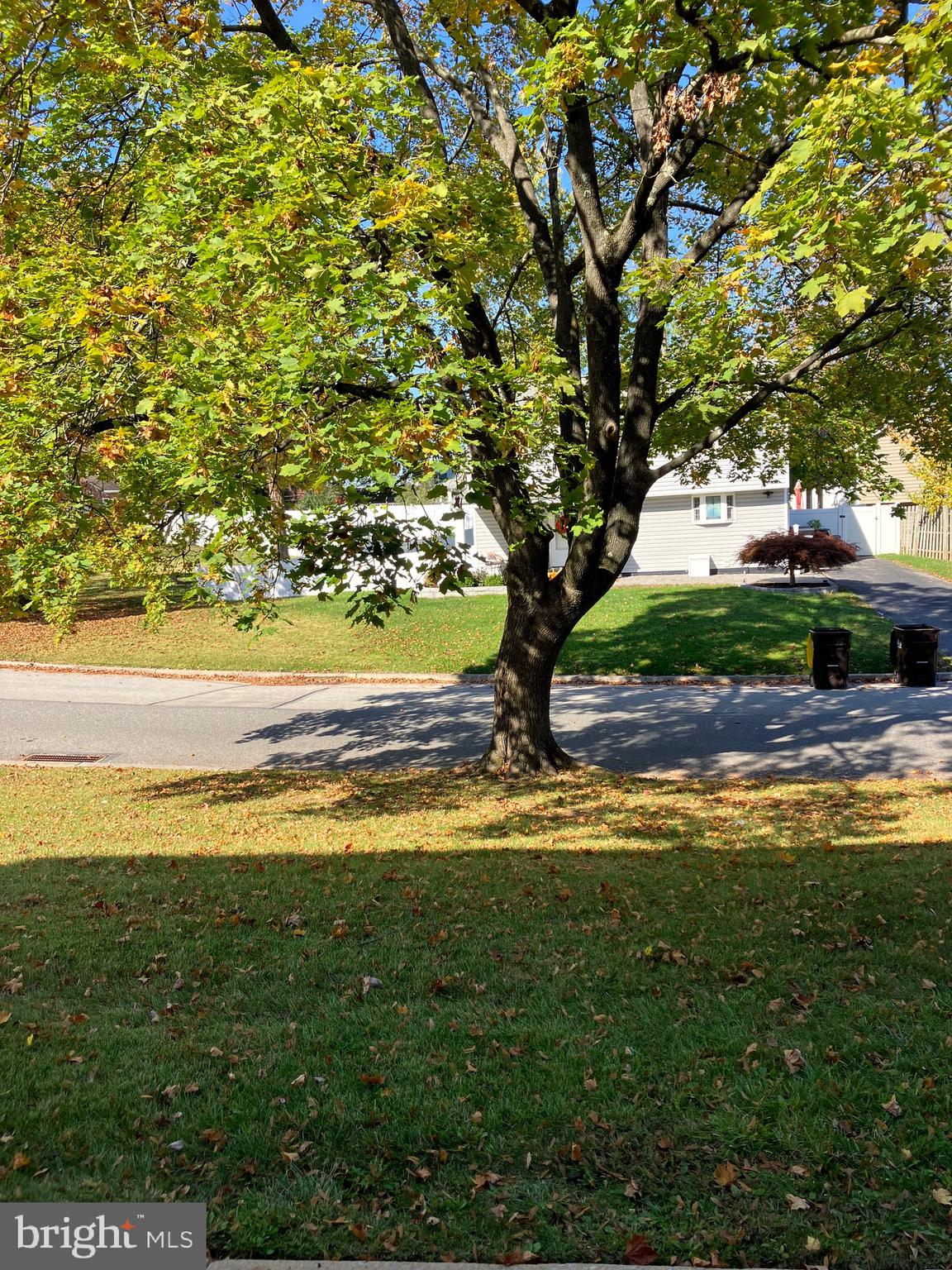 COURT OF HENDERSON - Residential