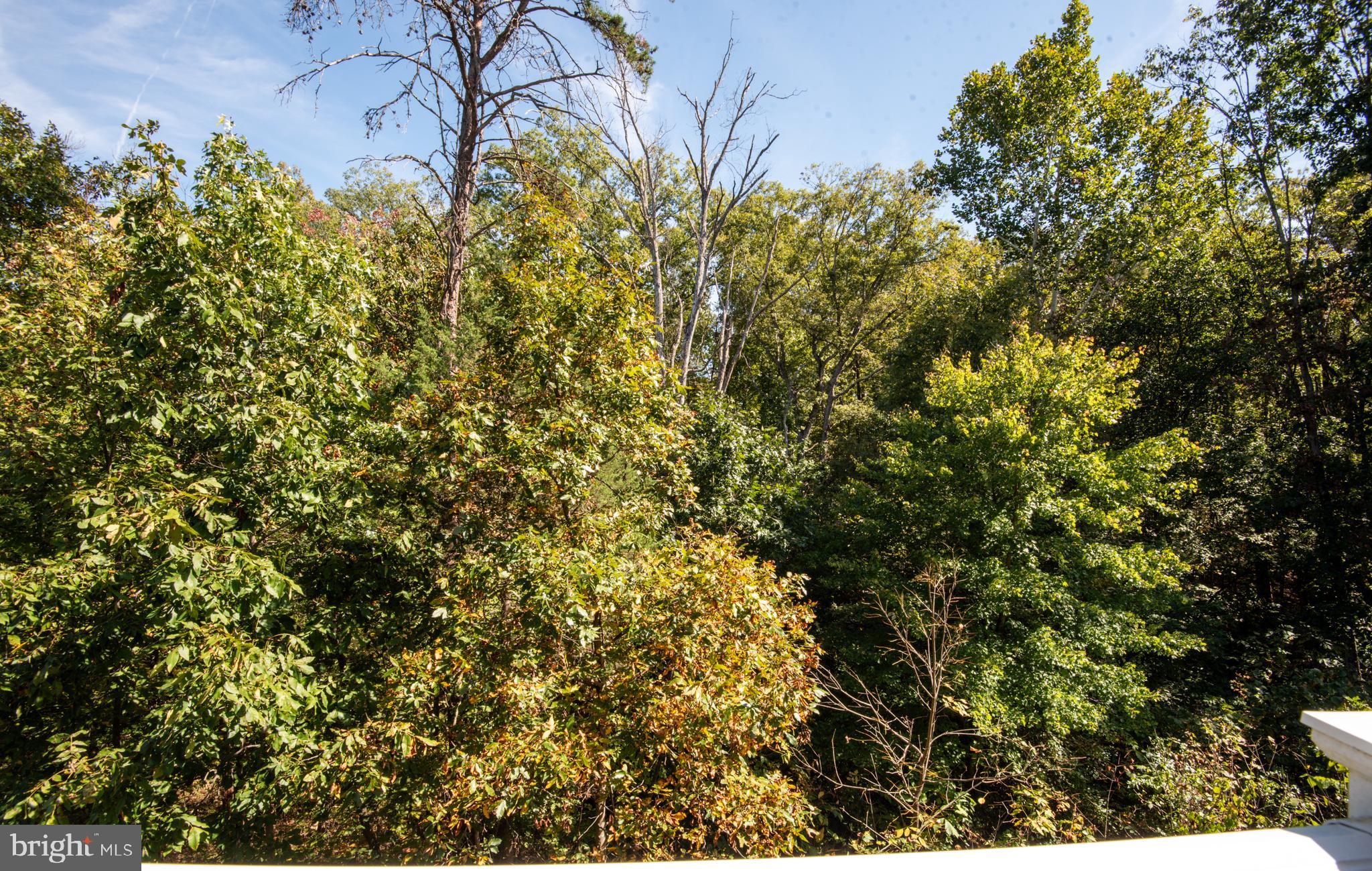 HAYMARKET CROSSING - Residential