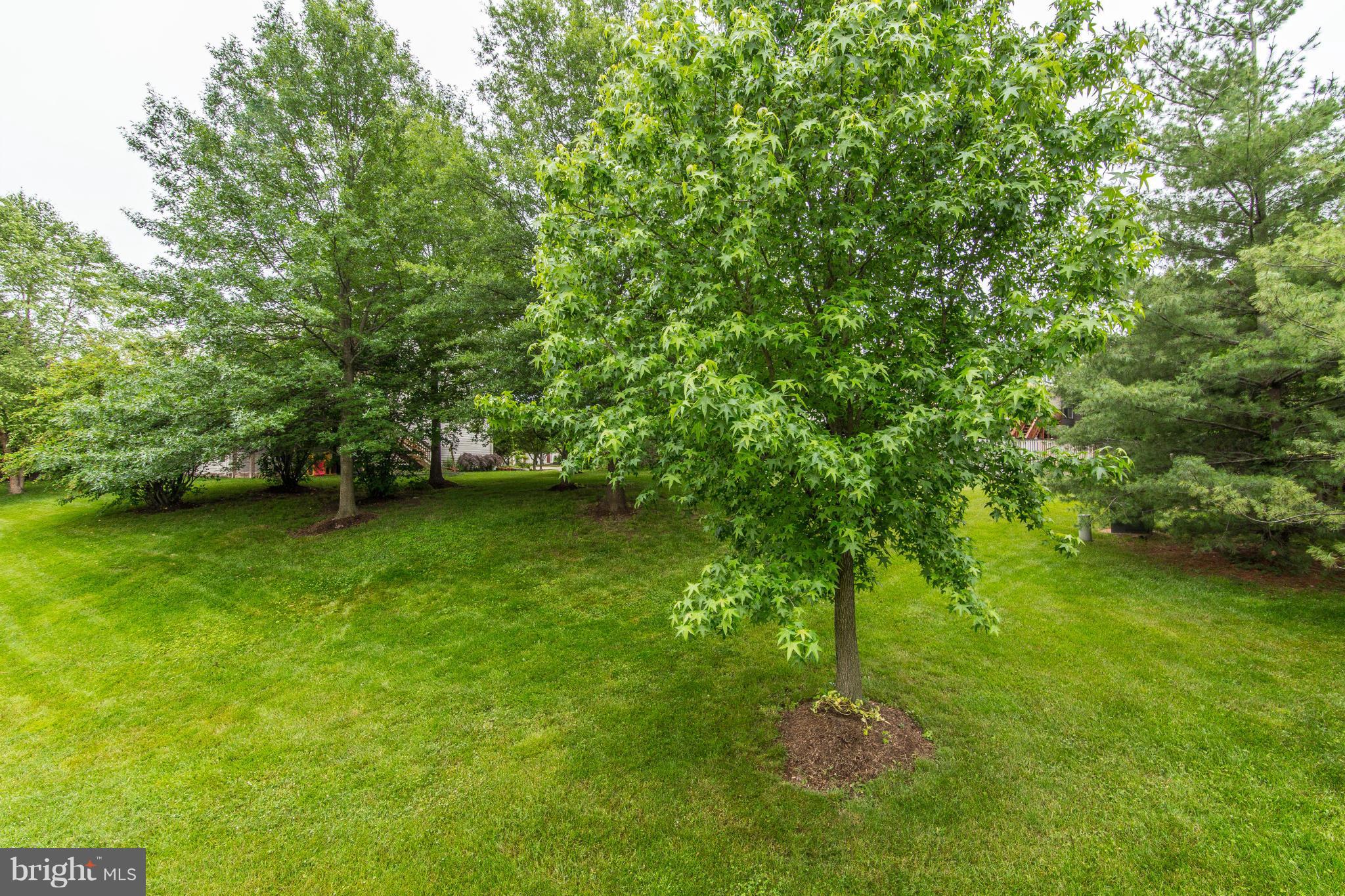 CENTRE RIDGE - Residential