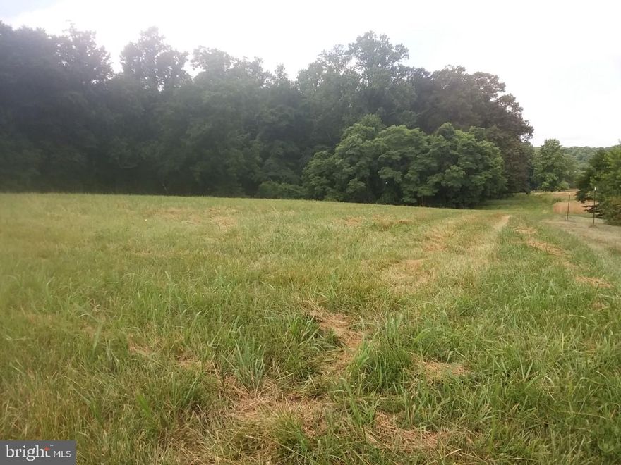 33.6 ACRES....approx 1.5  acre open field fronting Airy Hill Road with an entrance to the rear of property offering another open area of approx 1 acre with remaining land beyond that being wooded with inclusion of a pond that owner states is approx 10 acres in size.  Great deer, turkey and waterfowl hunting.  Parcel has not been perced.  Please call agent for direction of showing thank you.