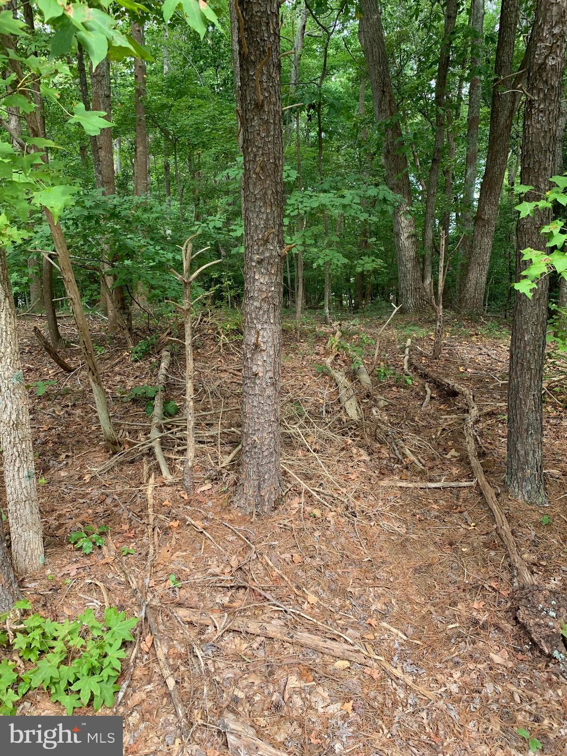 STRATFORD HARBOUR - Land