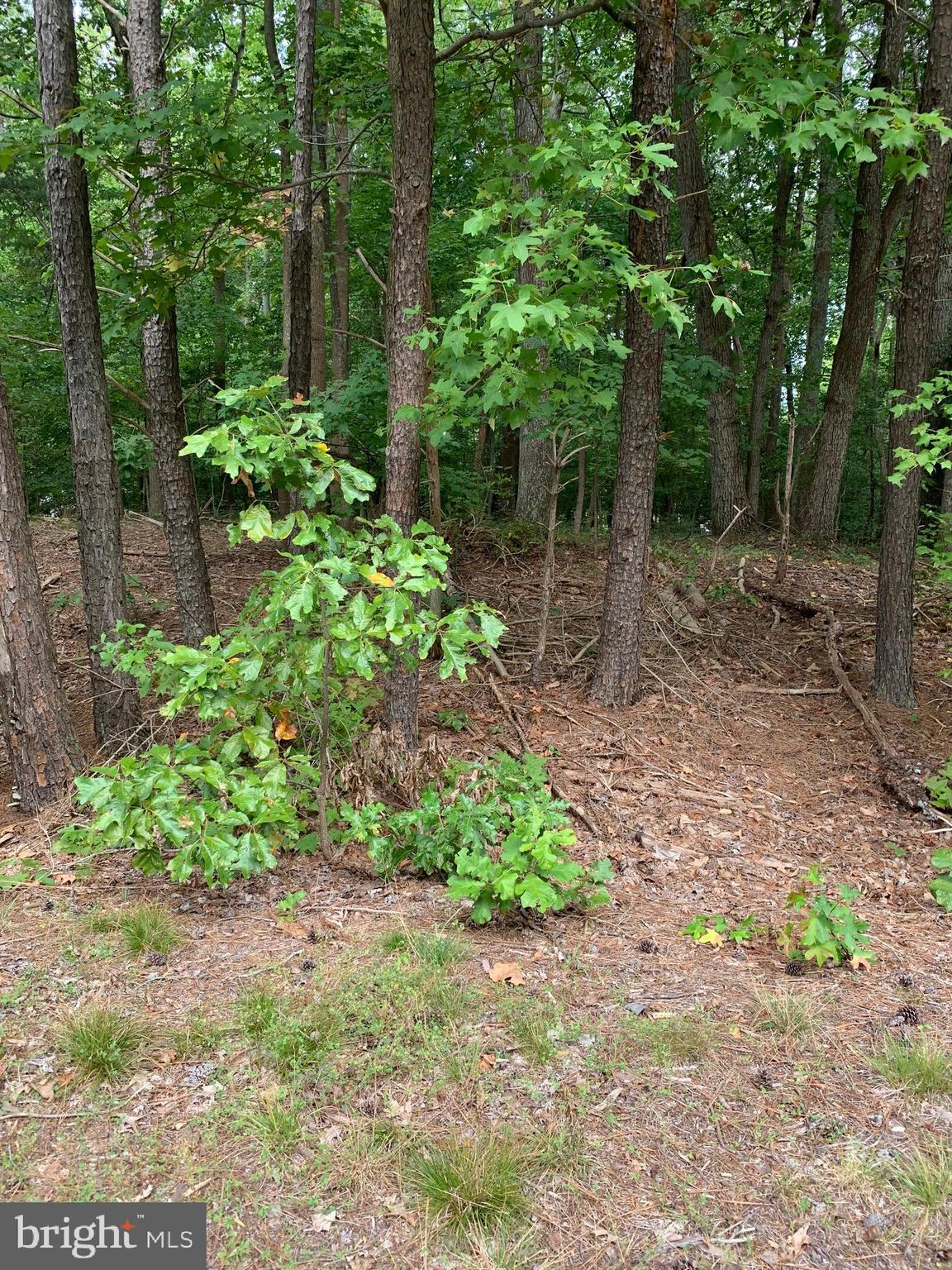 STRATFORD HARBOUR - Land