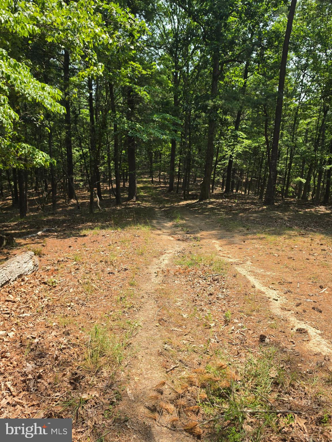 CHASE WOODS LANE LOTS 2-6
