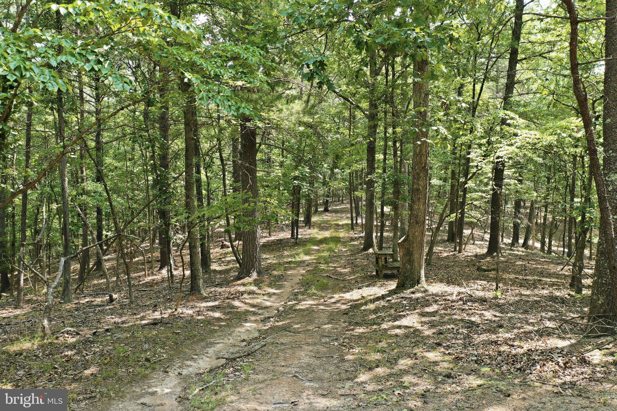 CHASE WOODS LANE LOTS 2-6