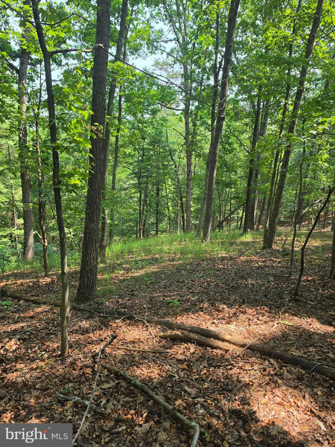 CHASE WOODS LANE LOTS 2-6