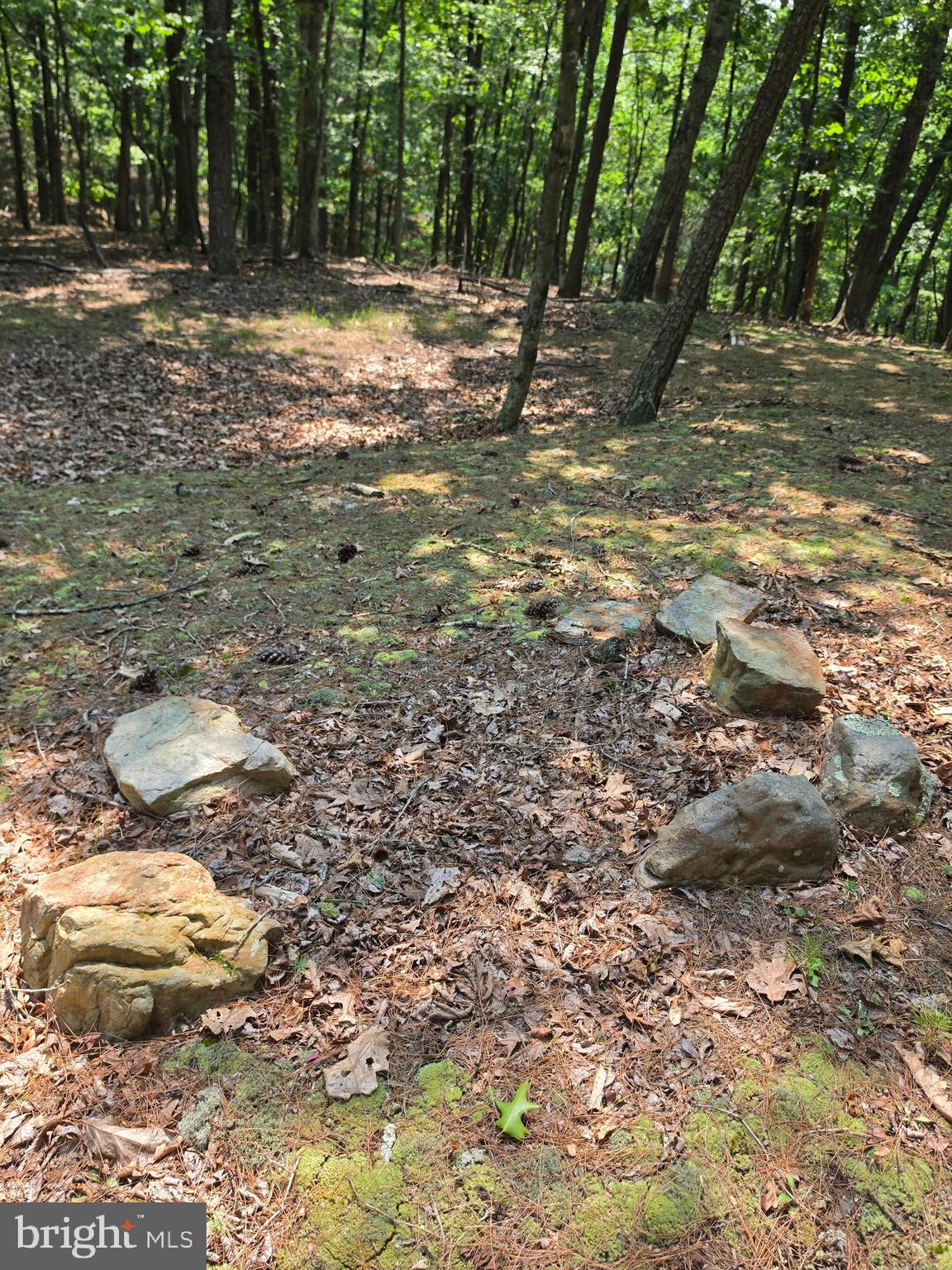 CHASE WOODS LANE LOTS 2-6