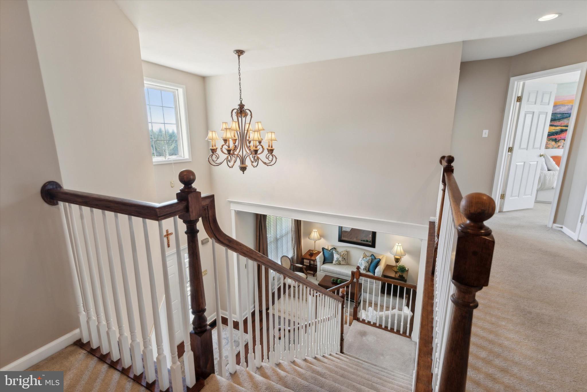 CHESTNUT WOODS - Residential