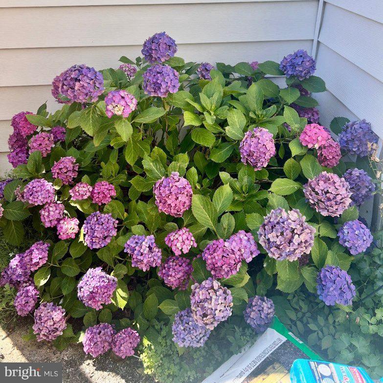 ARONIMINK - Residential Lease