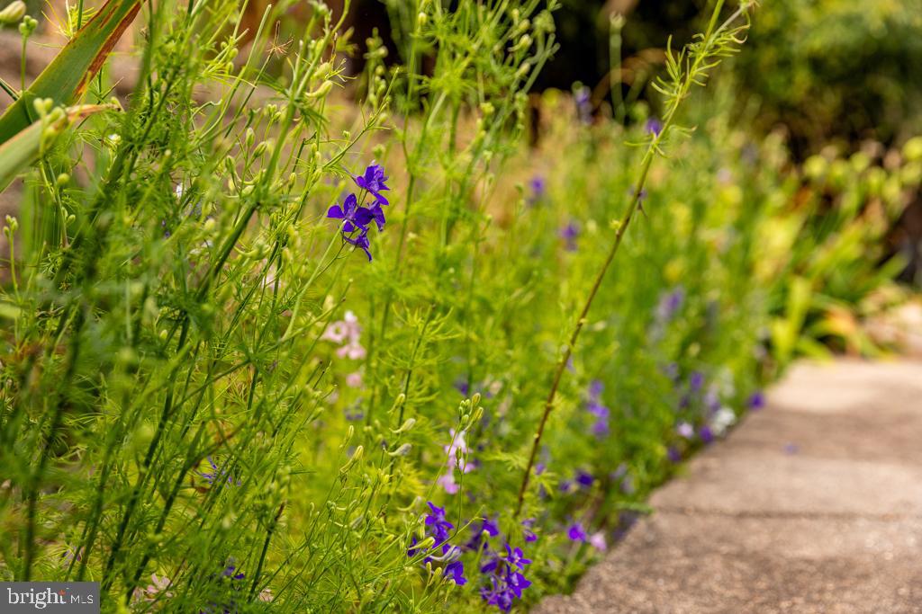 NONE UNRESTRICTED - Residential