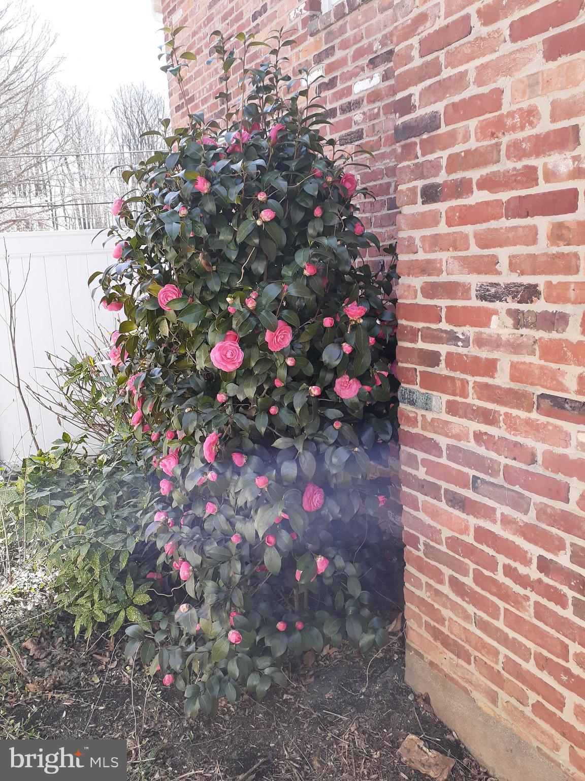 ASHBURTON - Residential Lease