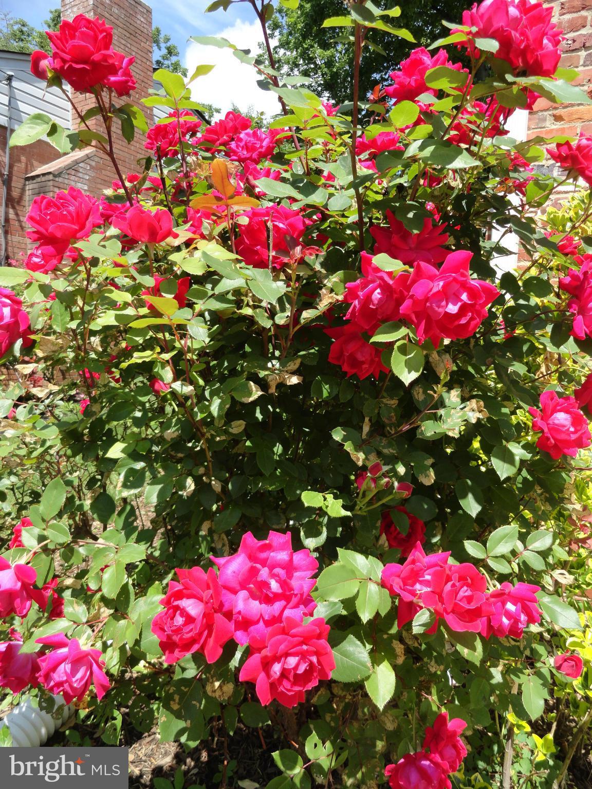 ASHBURTON - Residential Lease