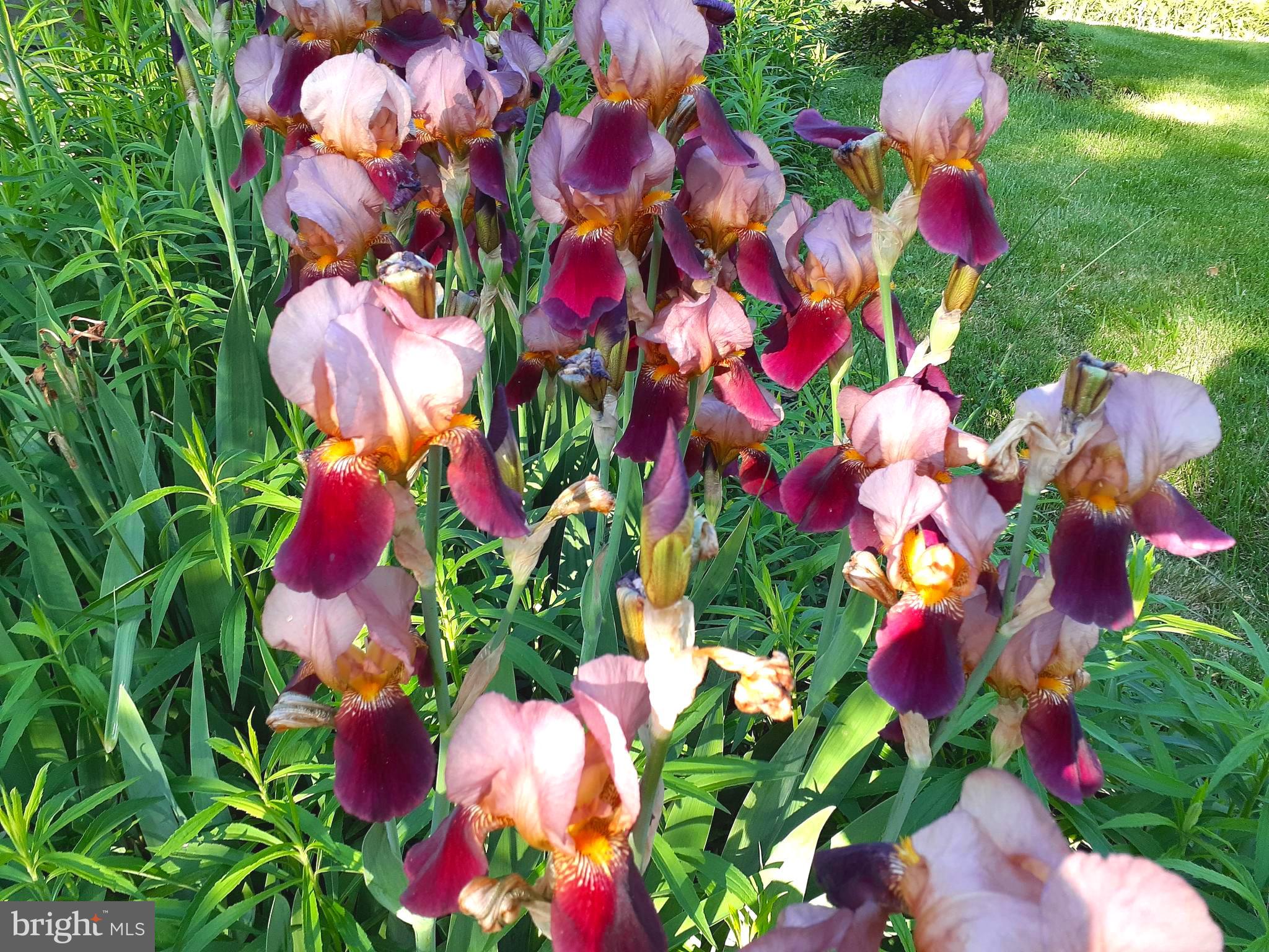 ASHBURTON - Residential Lease