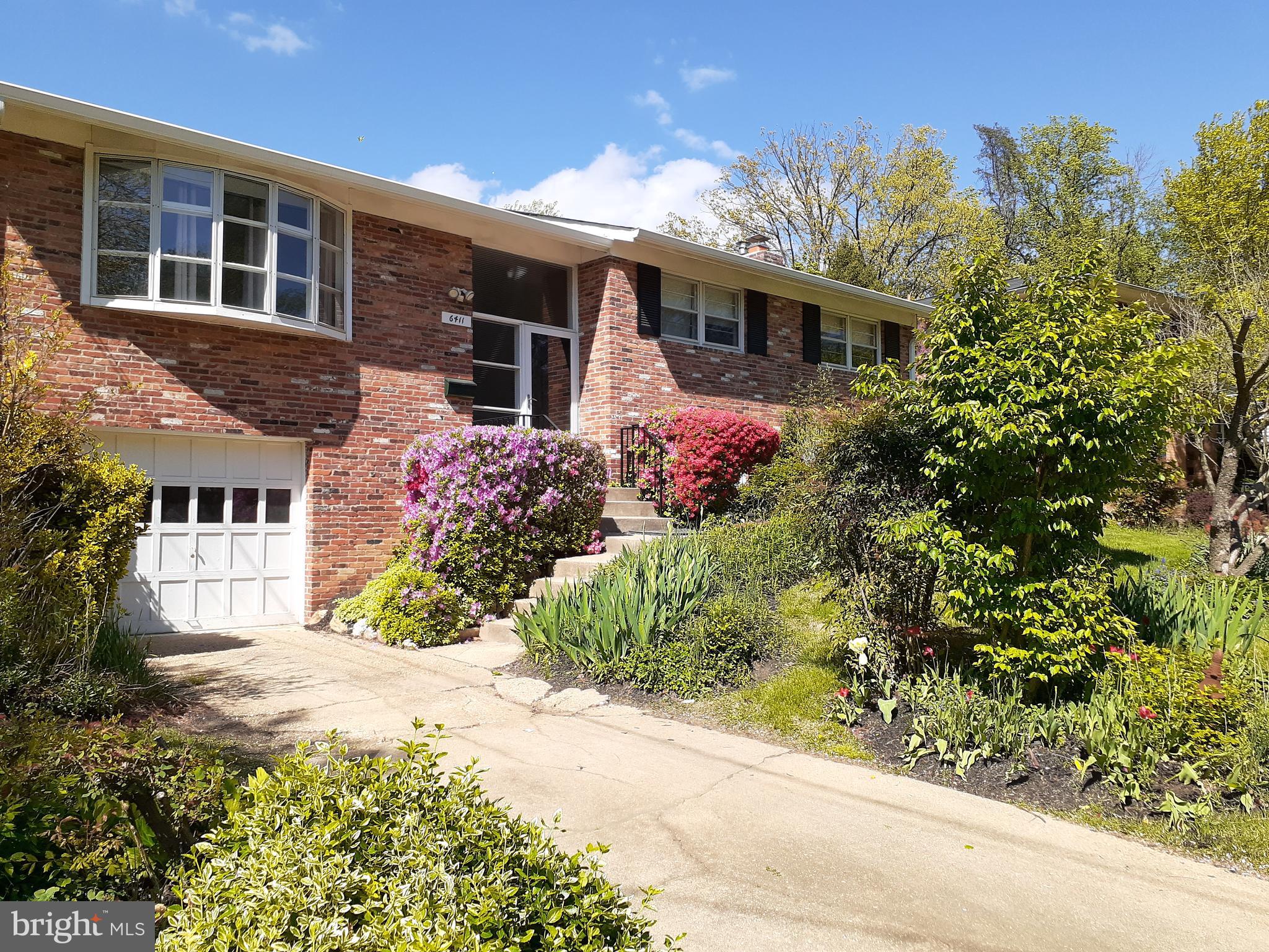 ASHBURTON - Residential Lease