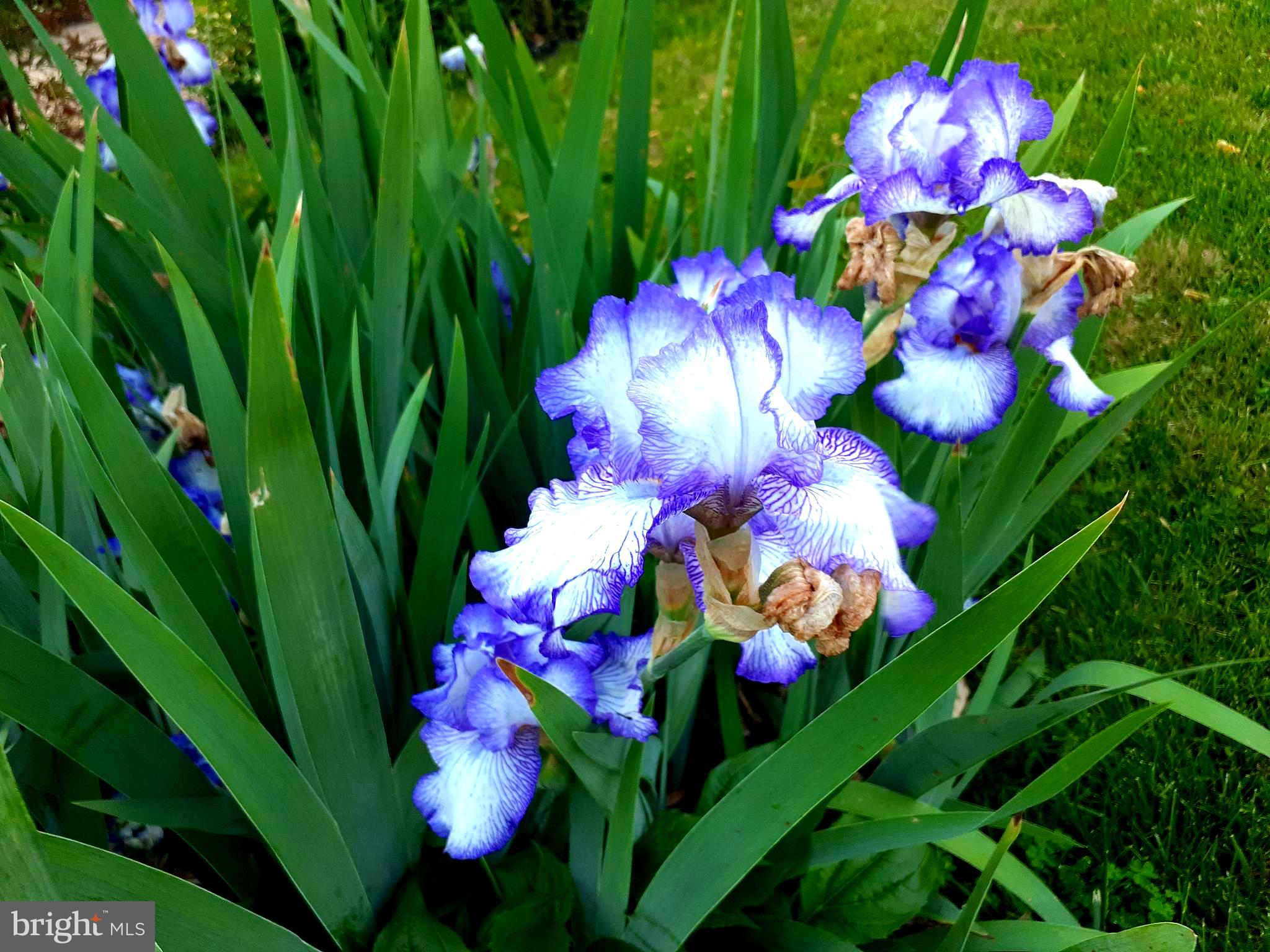 ASHBURTON - Residential Lease