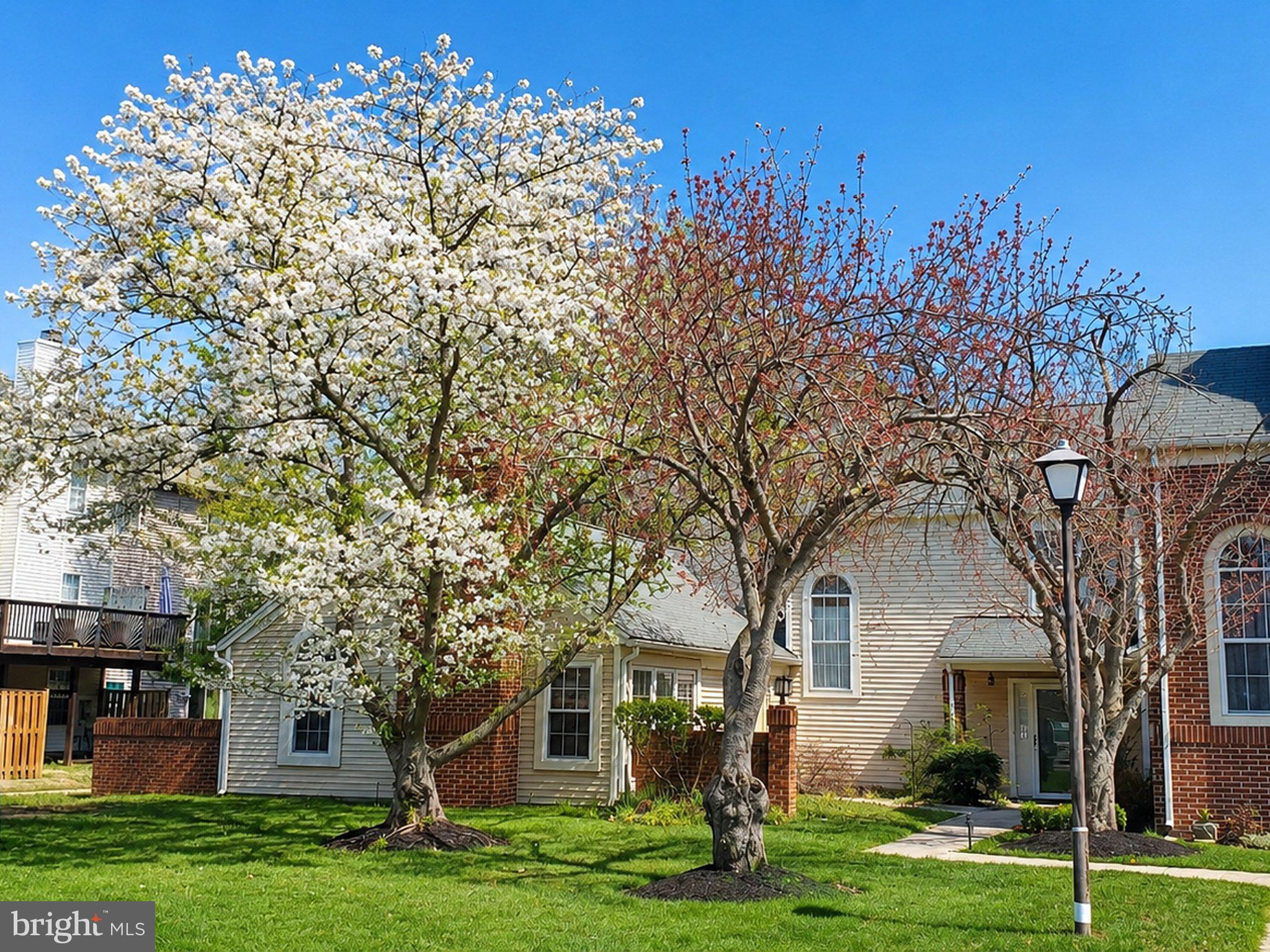 MARLBOROUGH CONDOMINIUM - Residential