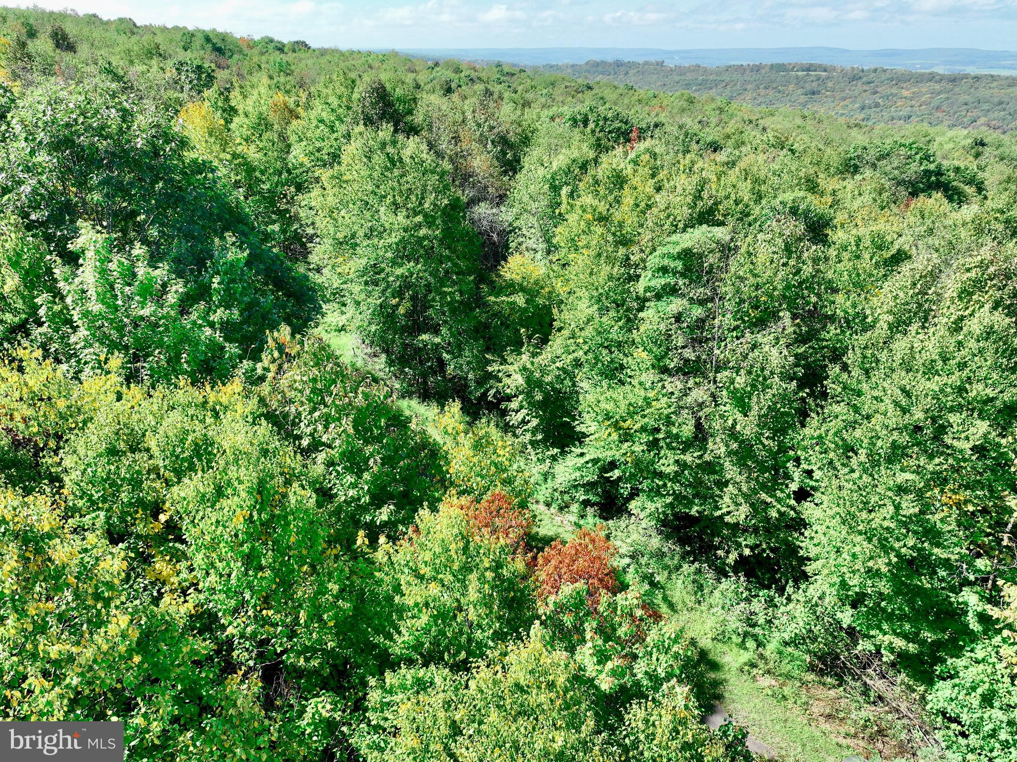 THE HIGHLANDS - Land