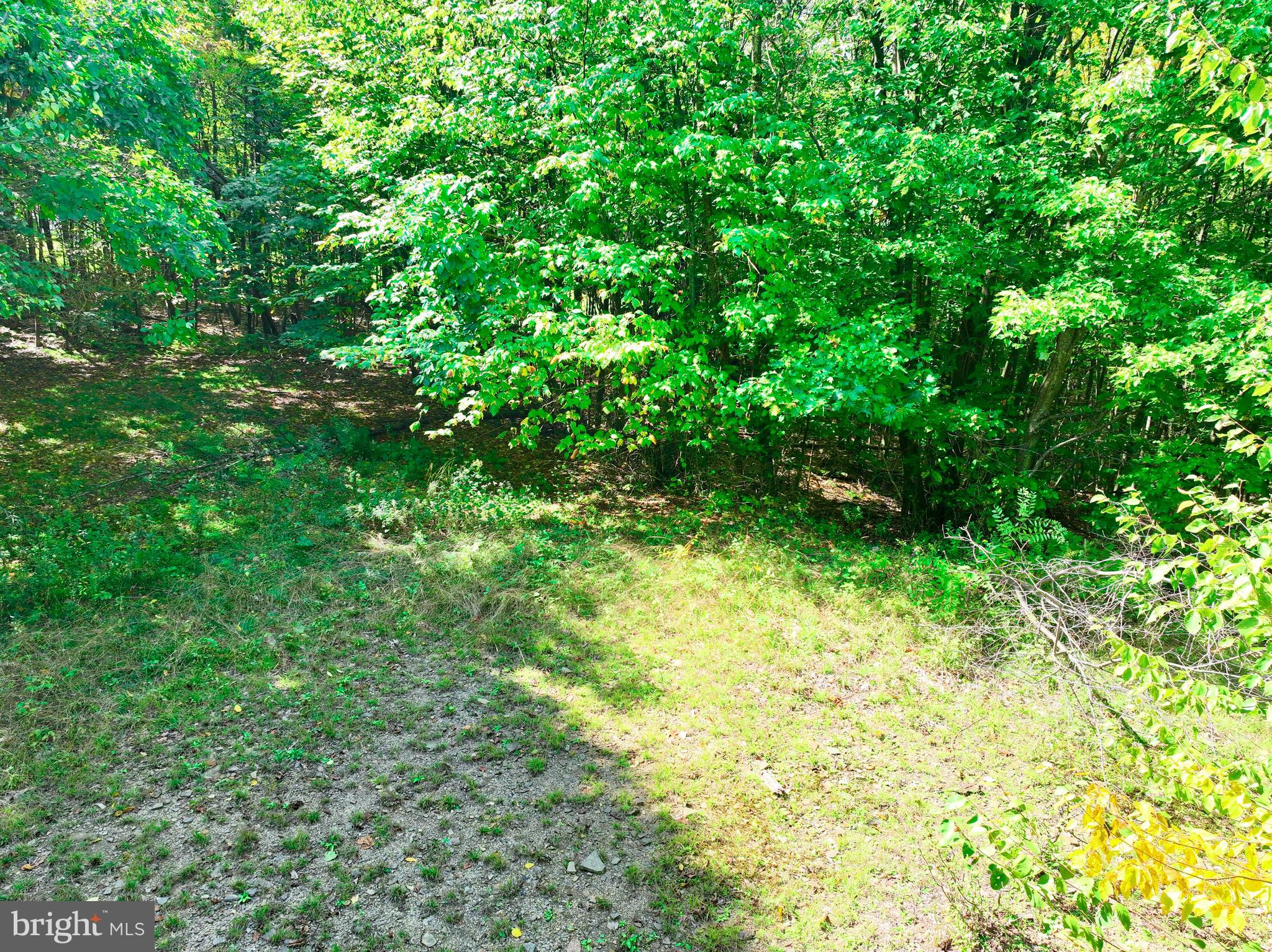 THE HIGHLANDS - Land