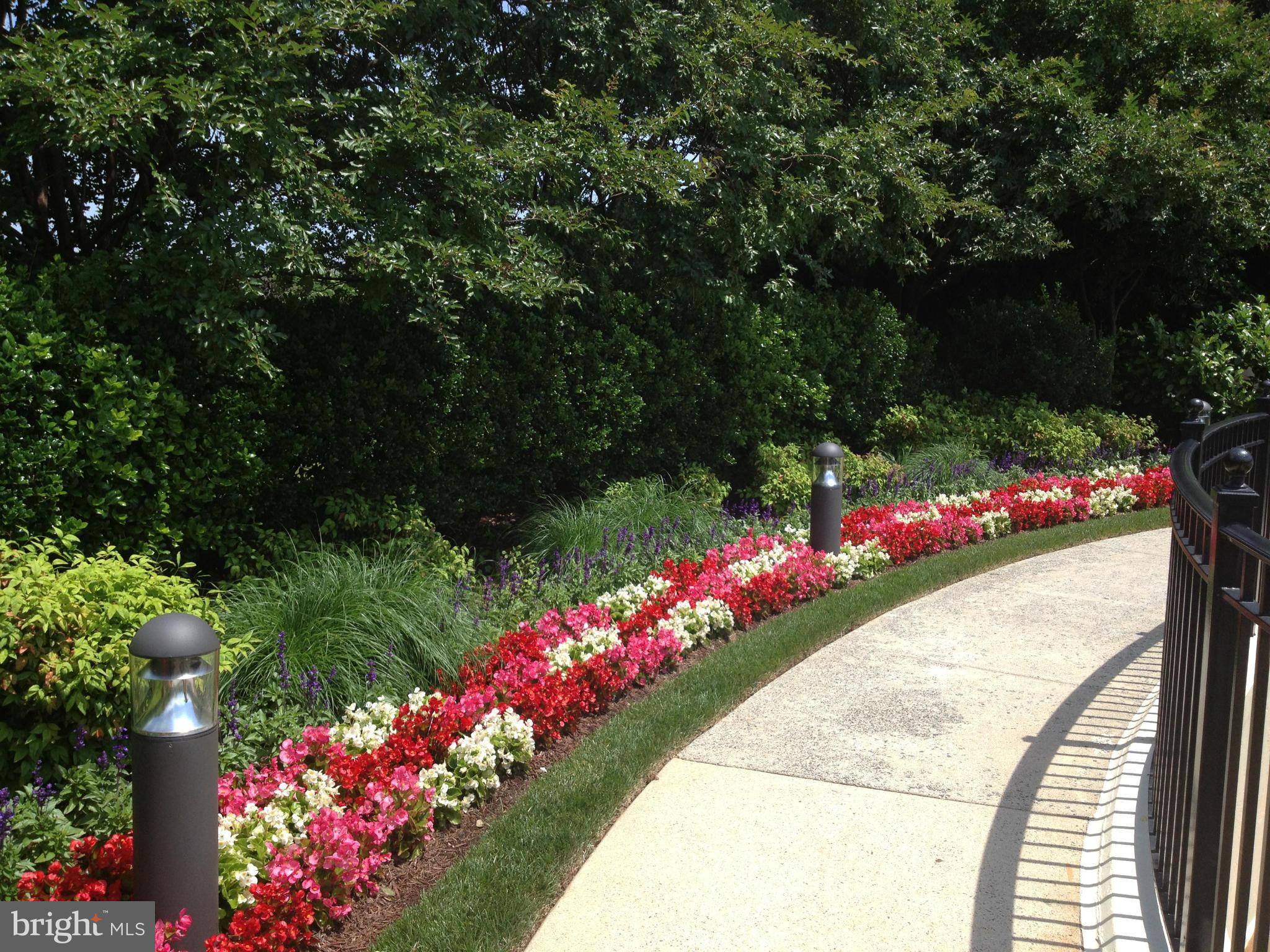 ROTONDA - Residential Lease