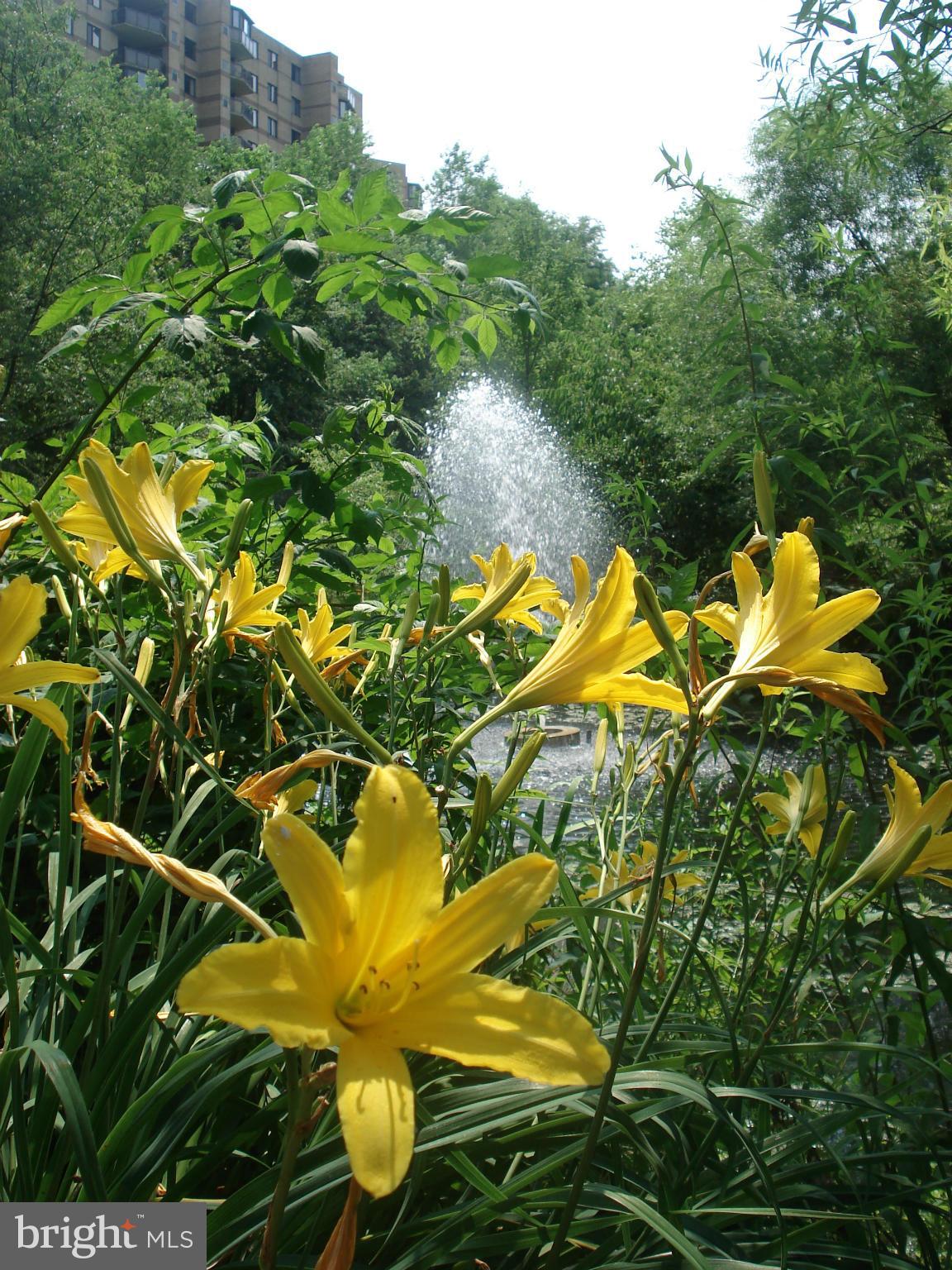 ROTONDA - Residential Lease