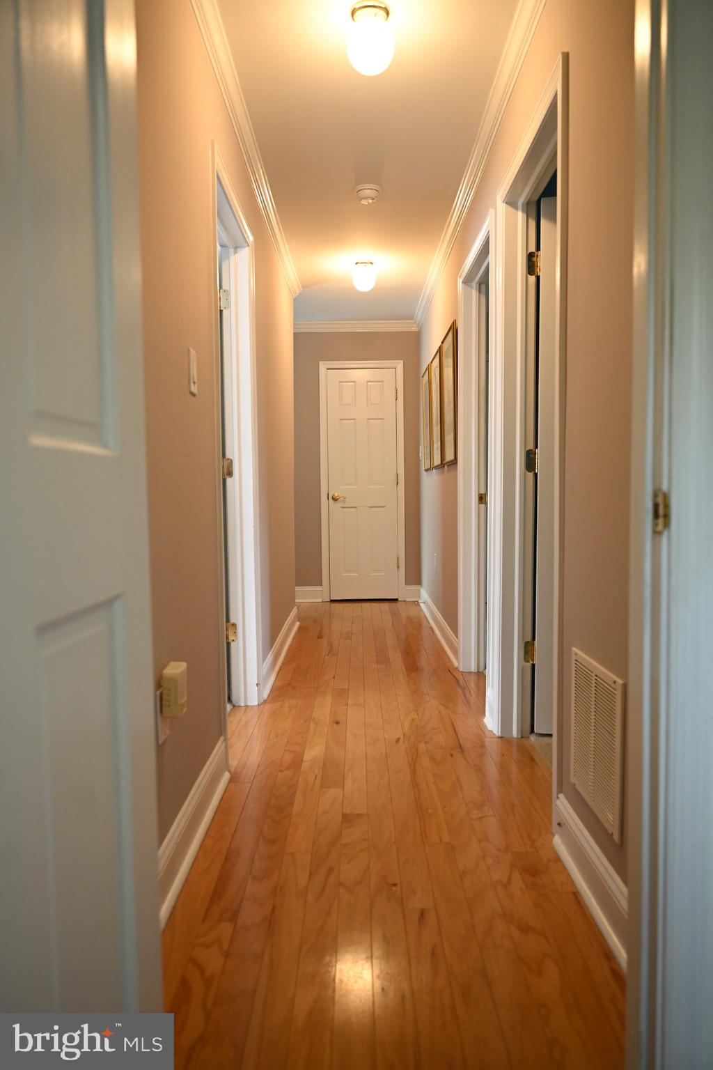 GLENSIDE - Residential