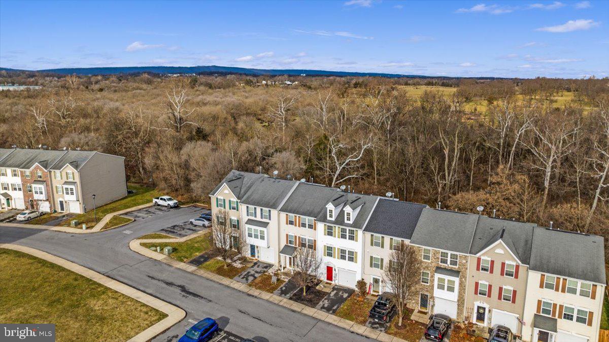 TROUT RUN - Residential