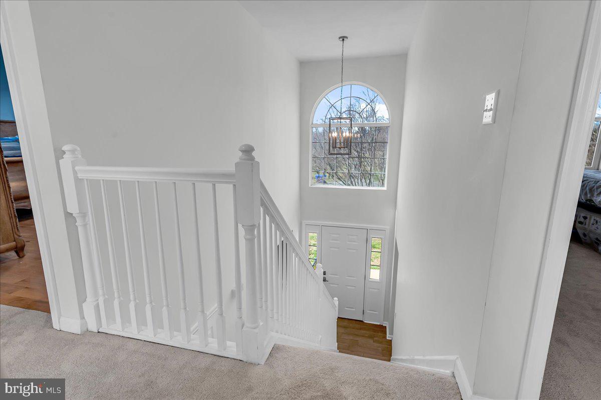 STRAWBERRY HILL - Residential