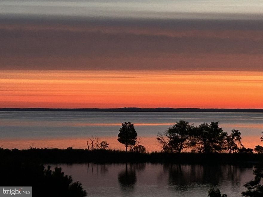 Rare penthouse unit with year-round water views perfectly positioned to capture stunning sunrises every morning. This home has been owned and meticulously maintained by the original owner who spared no expense and opted for every builder upgrade that was offered, over $60,000.00 in options. The open concept design seamlessly connects the living room, dining area, and kitchen areas, all enhanced by expansive windows letting in an abundant amount of natural light.  Experience resort style living in the highly sought after Four Seasons at Kent Island, a premier 55+ waterfront community.  Residents enjoy access to world class amenities, including indoor and outdoor pools, walking trails, a Chester River pier. Ideally located just minutes from waterfront dining, shopping, and the Chesapeake Bay Bridge, this home offers the perfect blend of relaxation, convenience and low maintenance living at its finest. Additional interior photos coming soon!