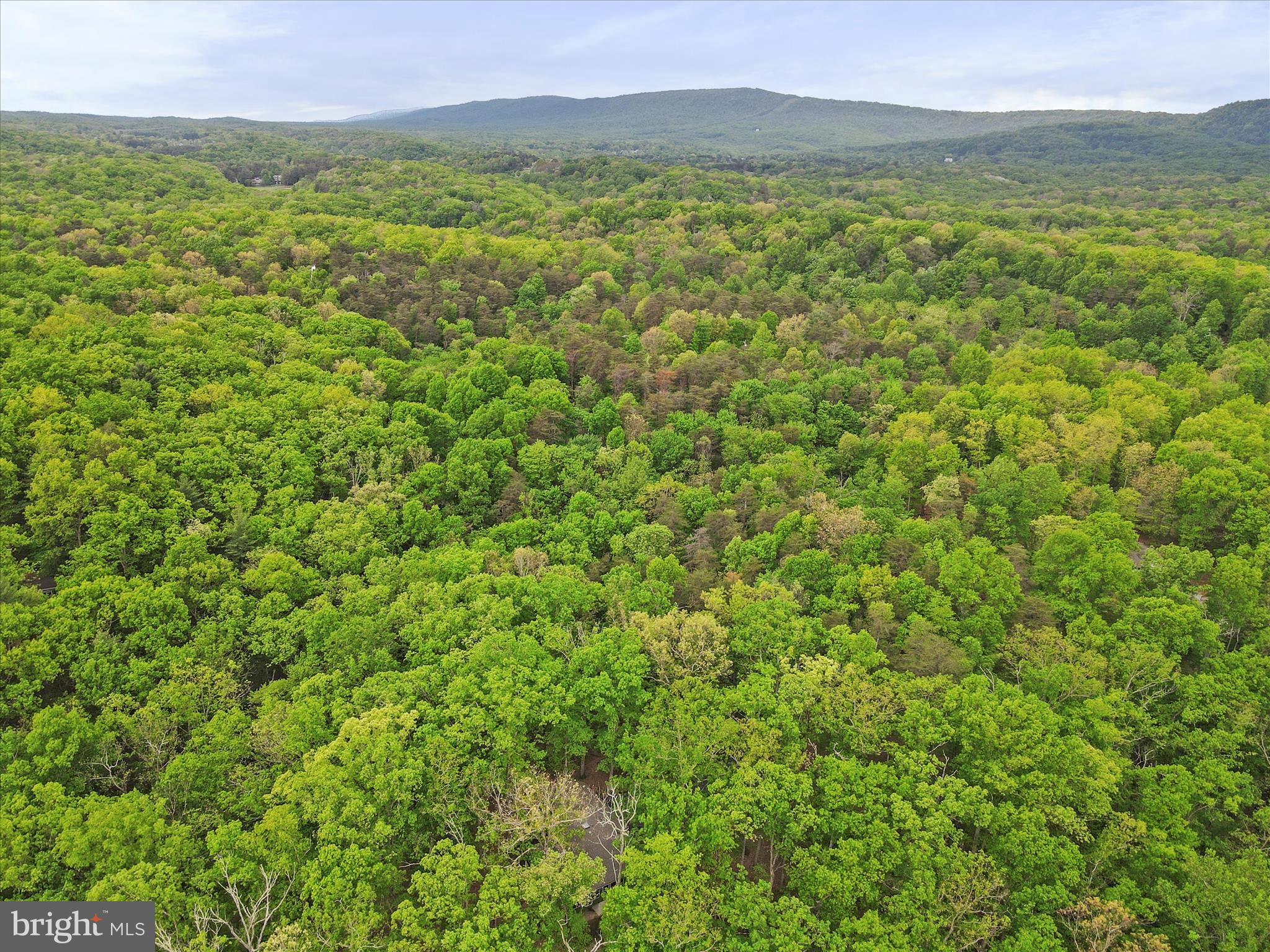 THE WOODS - Residential