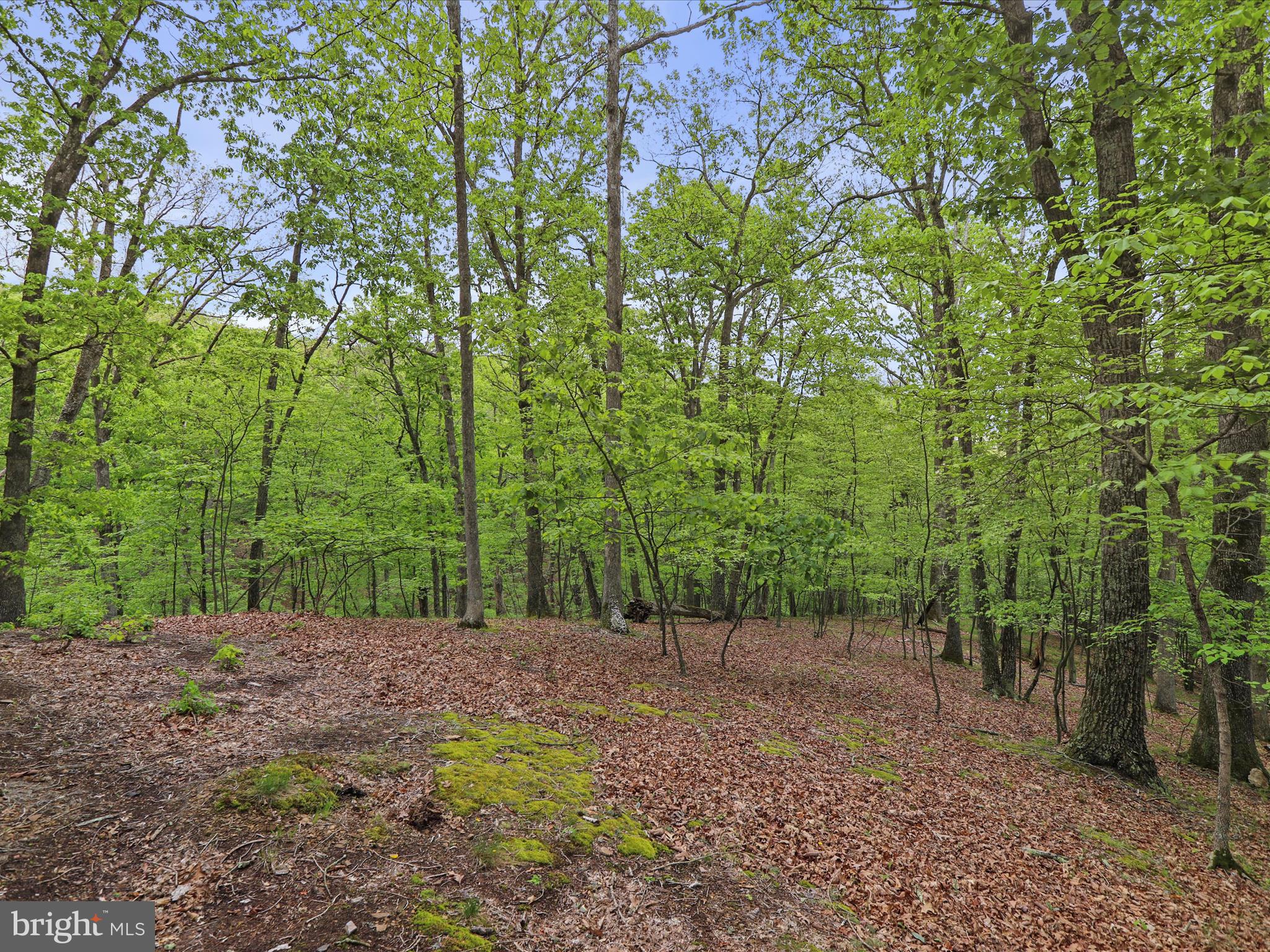 THE WOODS - Residential