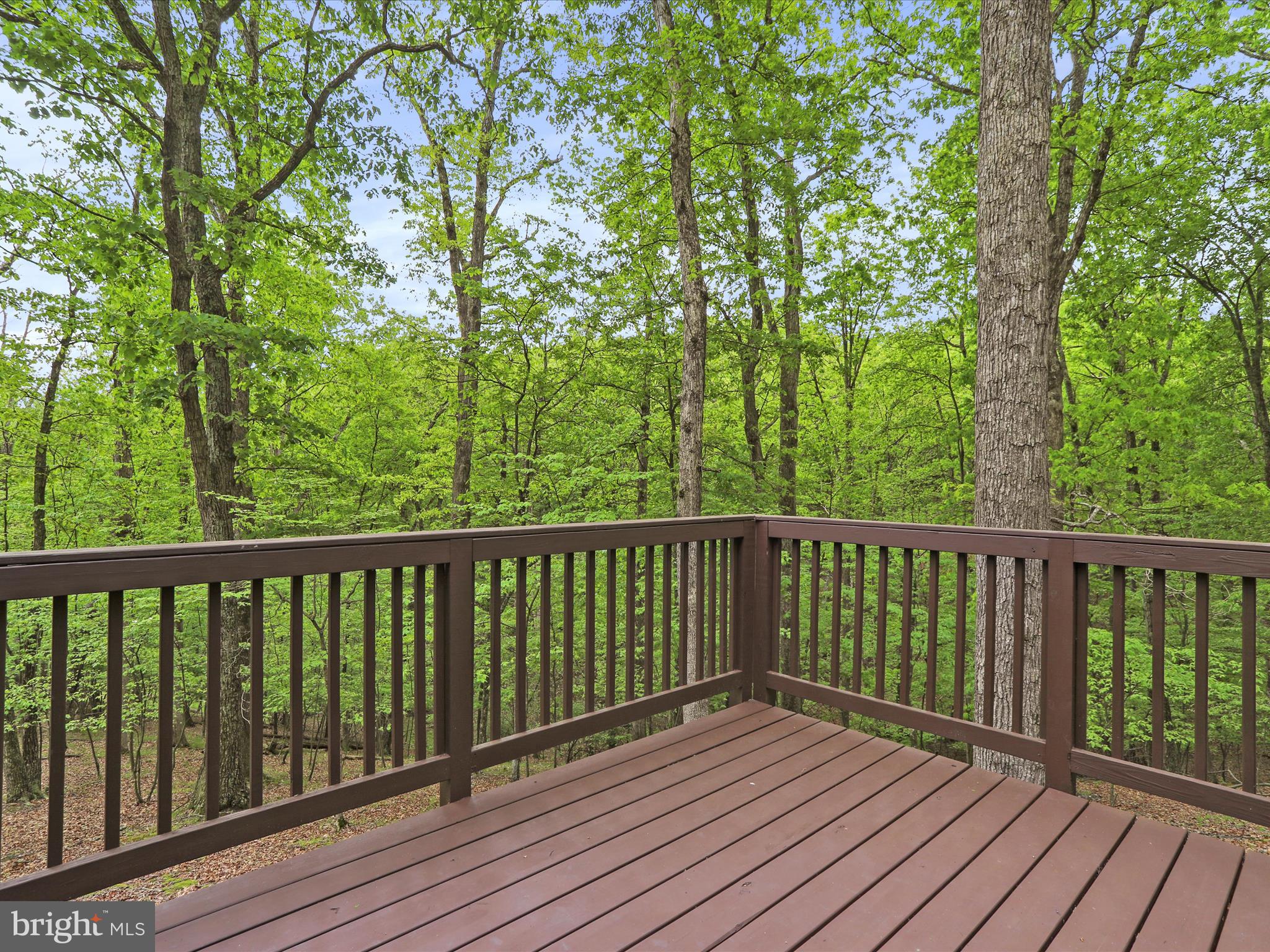 THE WOODS - Residential