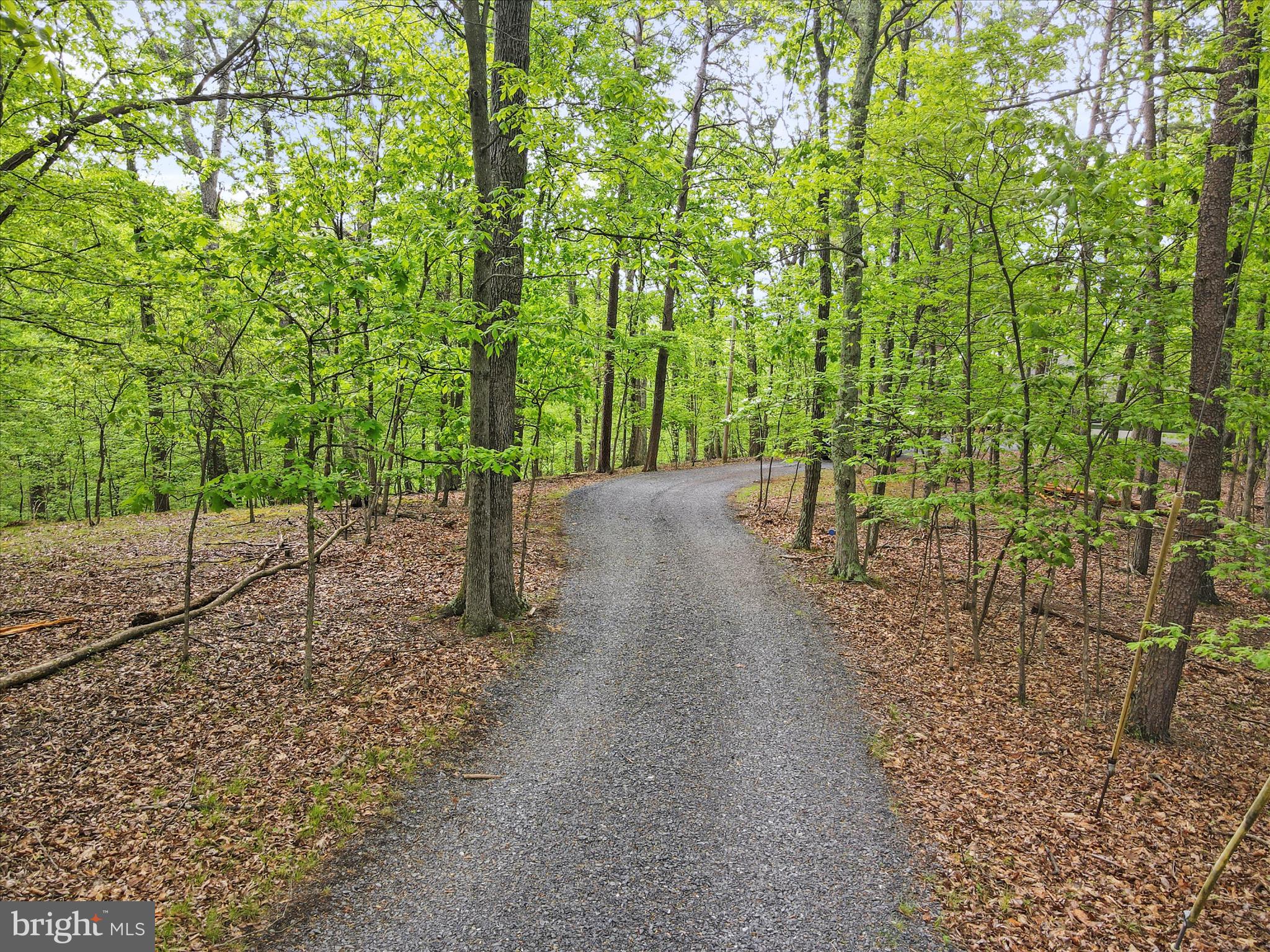 THE WOODS - Residential