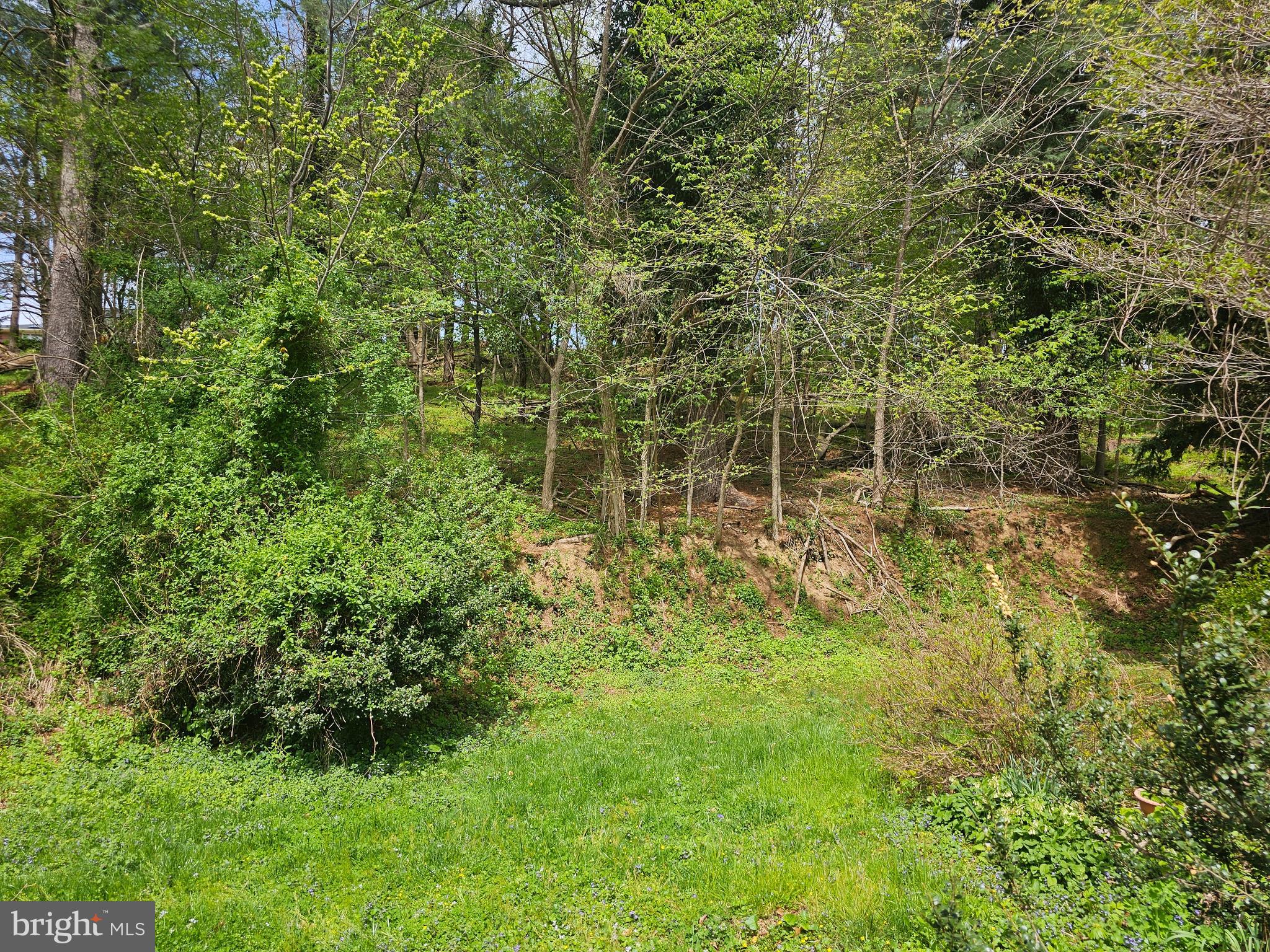 MILLWOOD VILLAGE - Residential