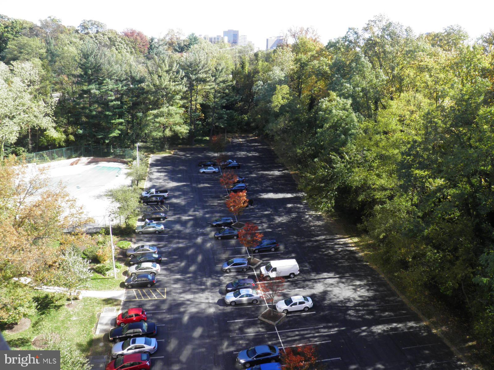 PARK SUTTON CODM - Residential Lease