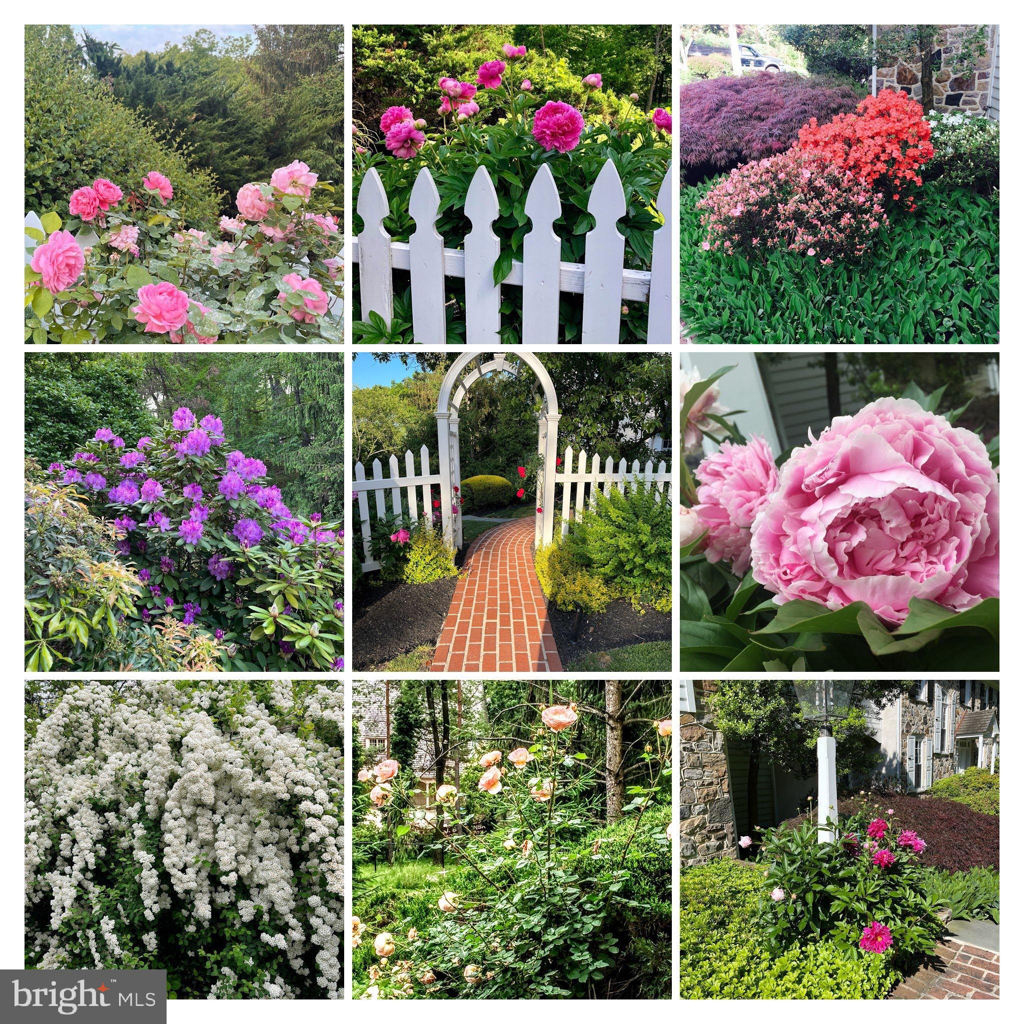 STERLING HEIGHTS - Residential