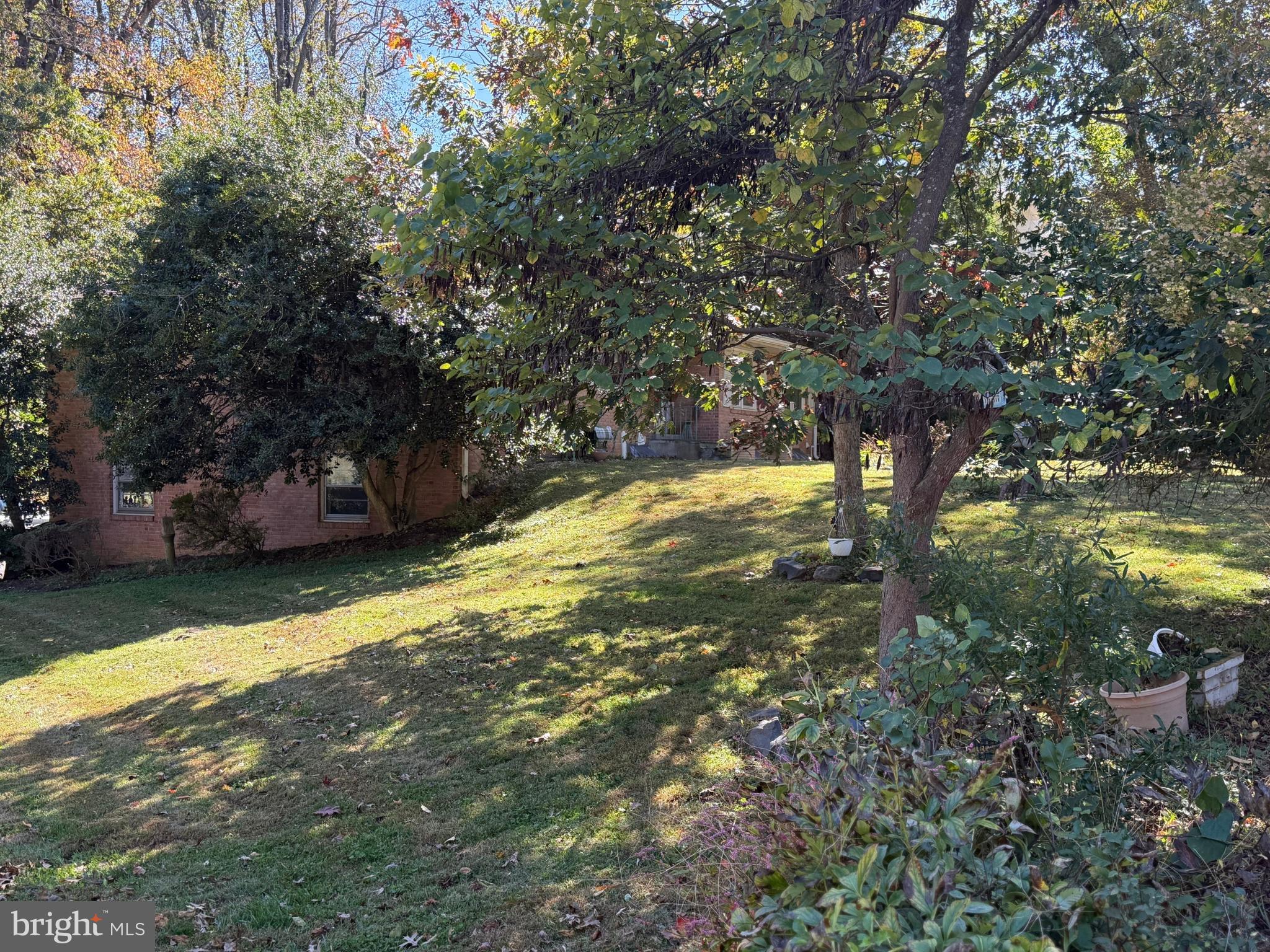 CHESTERBROOK WOODS - Land