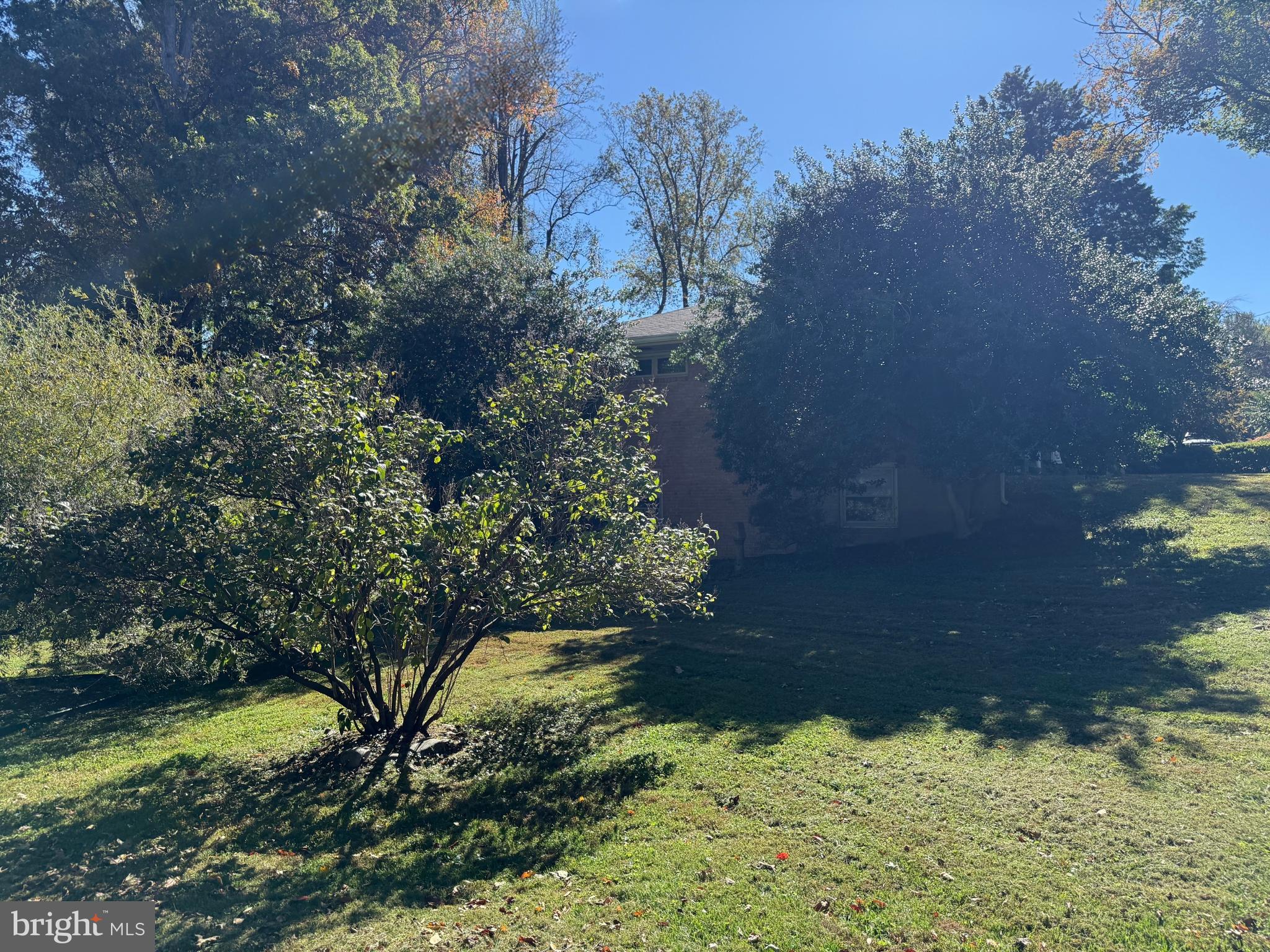 CHESTERBROOK WOODS - Land