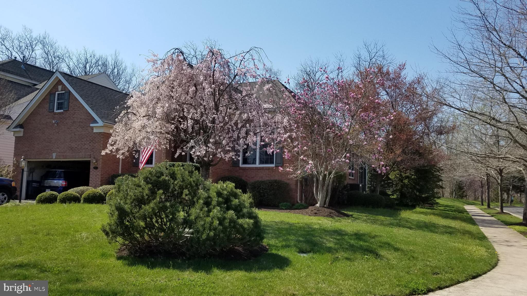 REGENCY AT DOMINION VALLEY - Residential