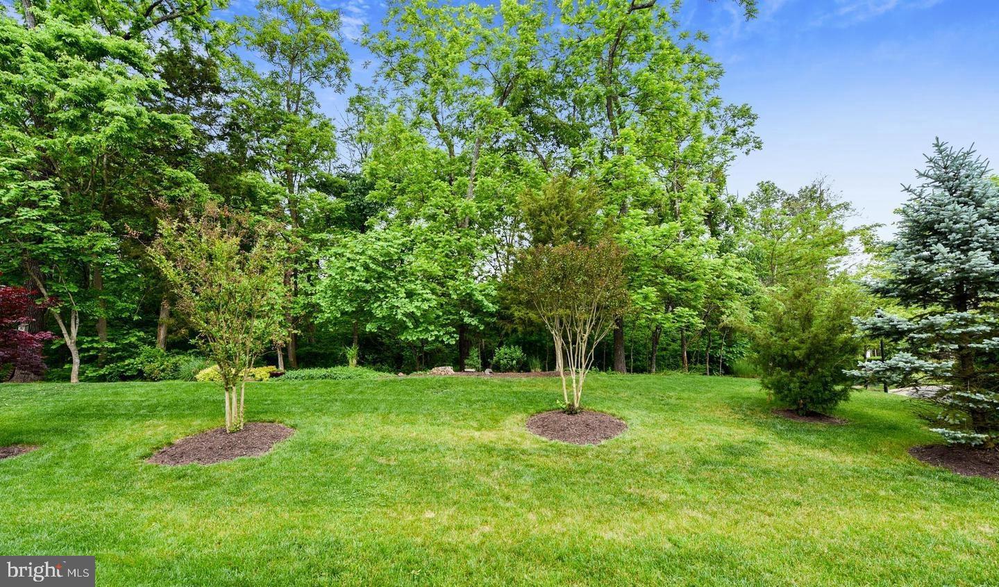 REGENCY AT DOMINION VALLEY - Residential