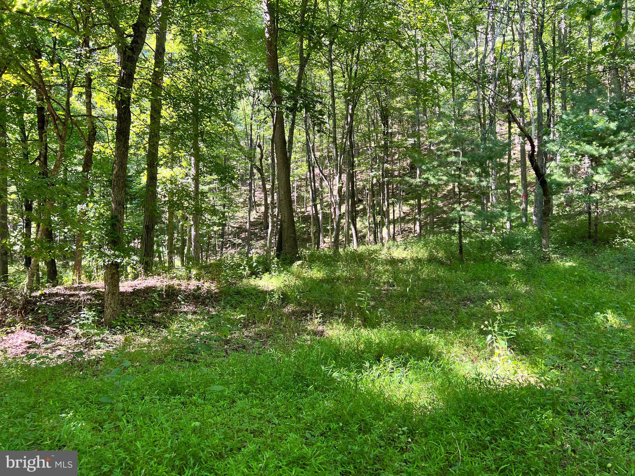 NONE-UNRESTRICTED - Residential