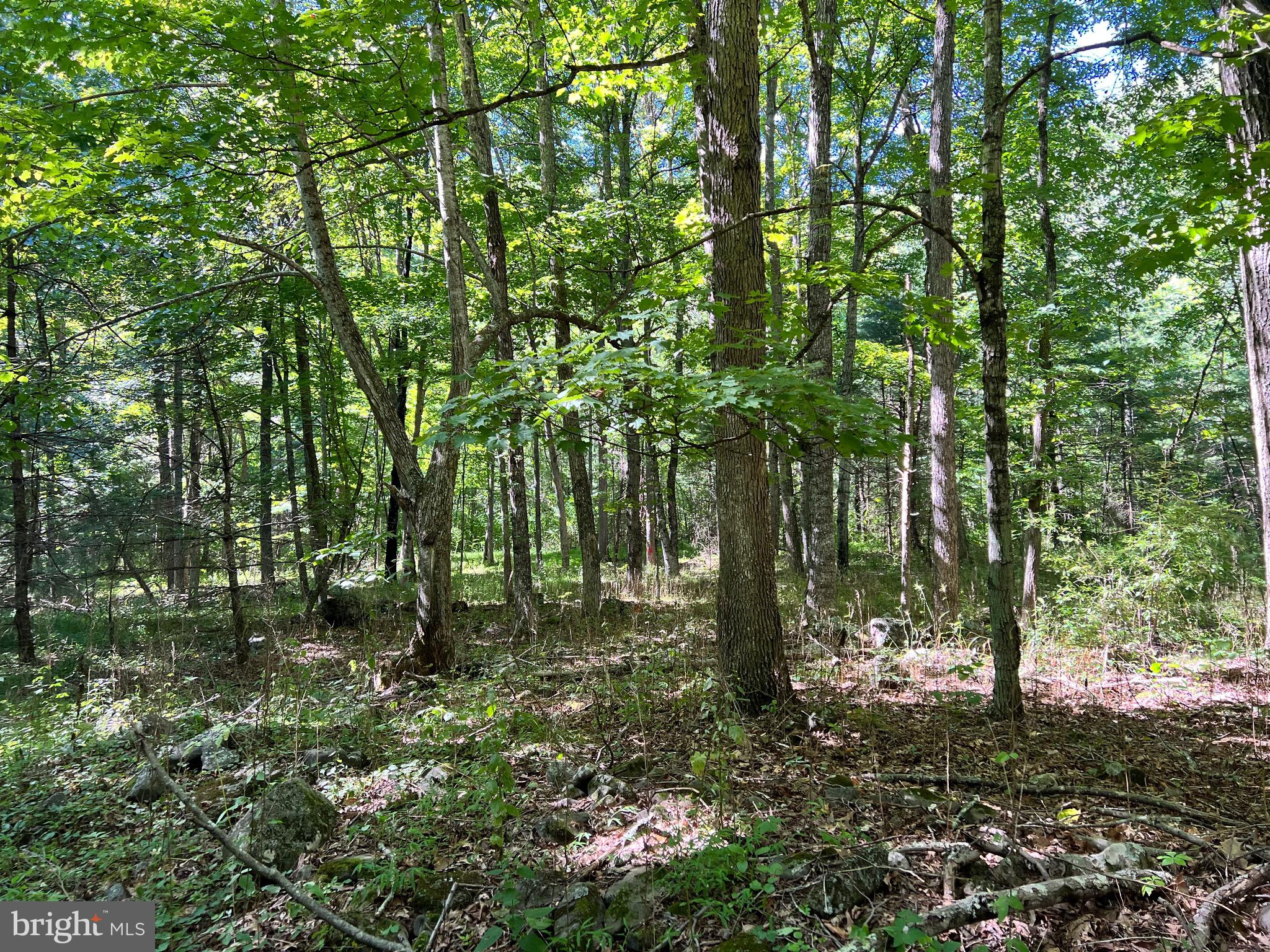 NONE-UNRESTRICTED - Residential