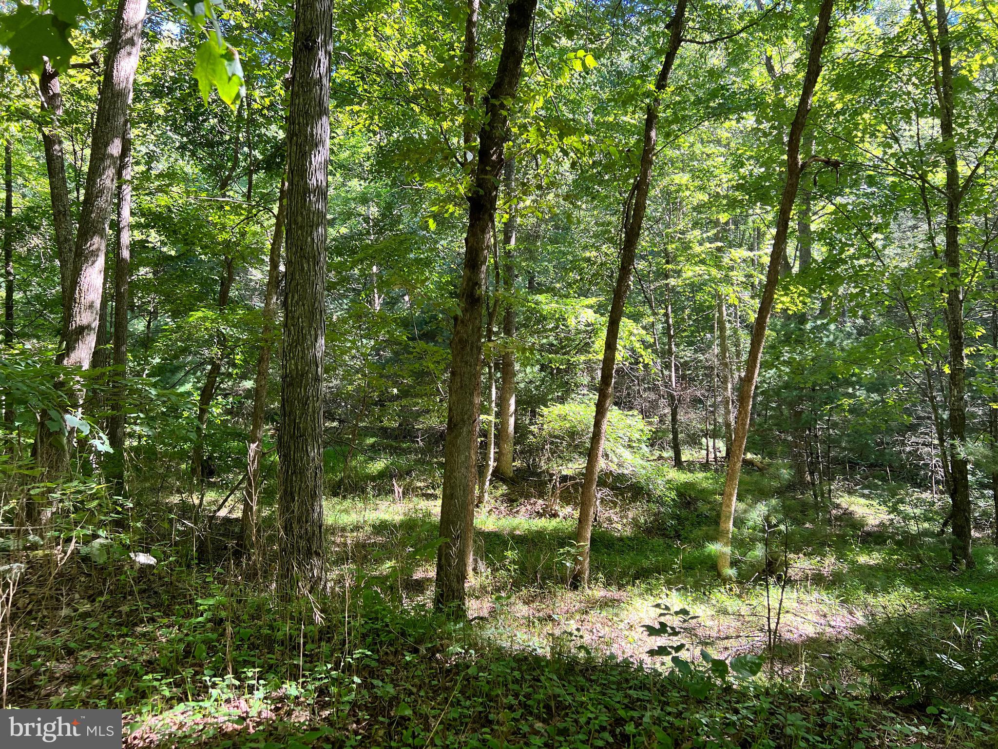 NONE-UNRESTRICTED - Residential