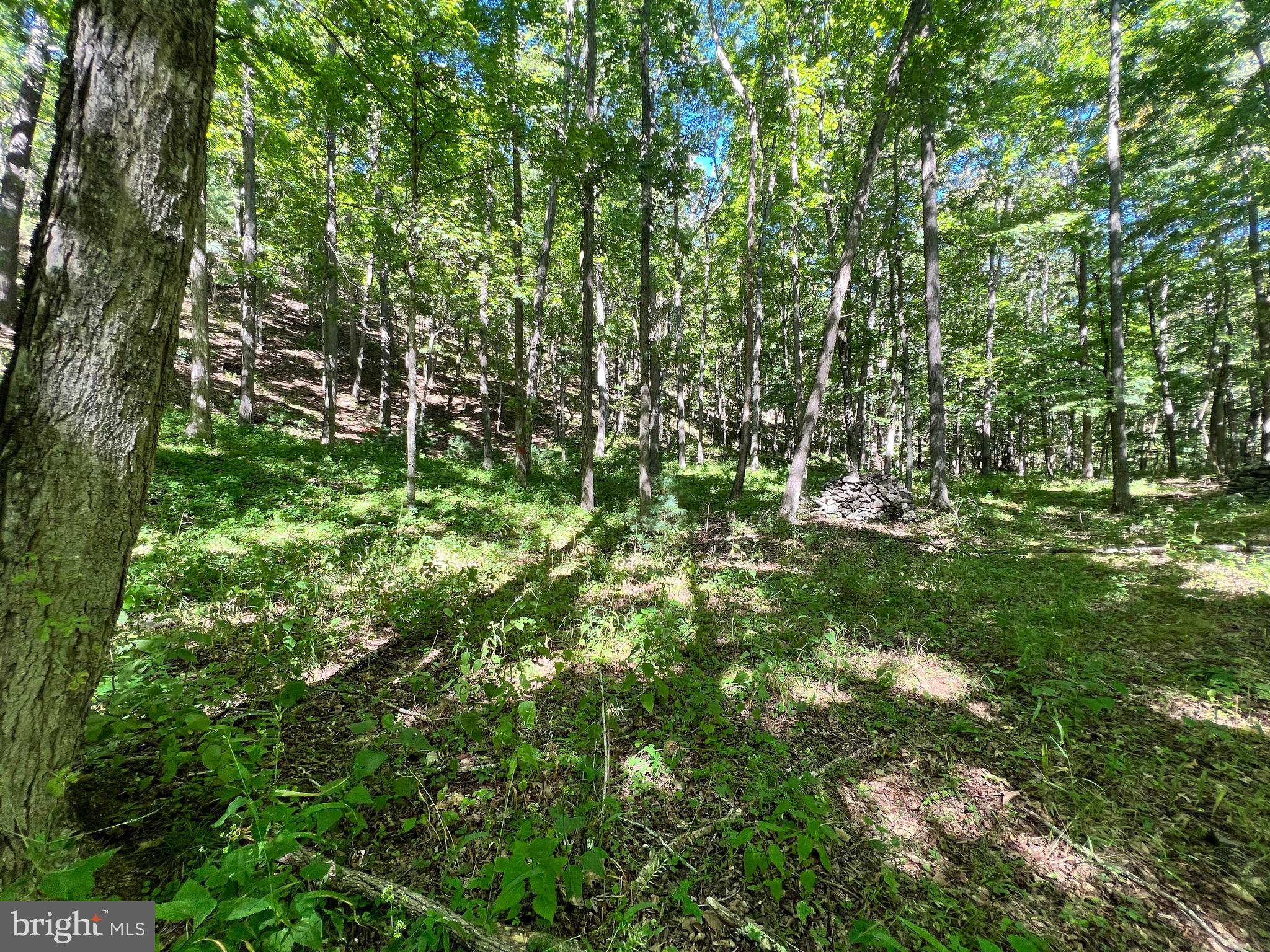 NONE-UNRESTRICTED - Residential