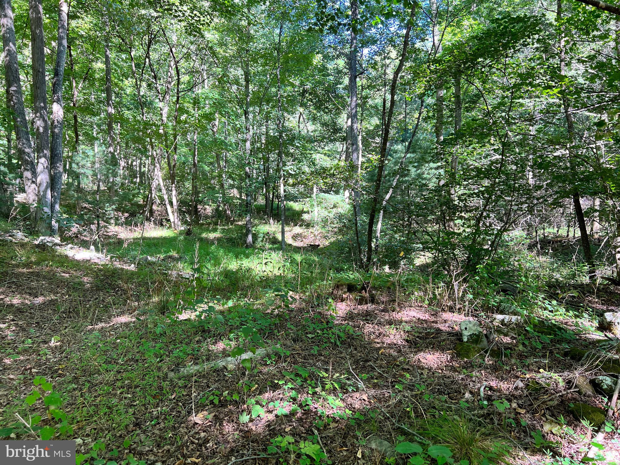 NONE-UNRESTRICTED - Residential