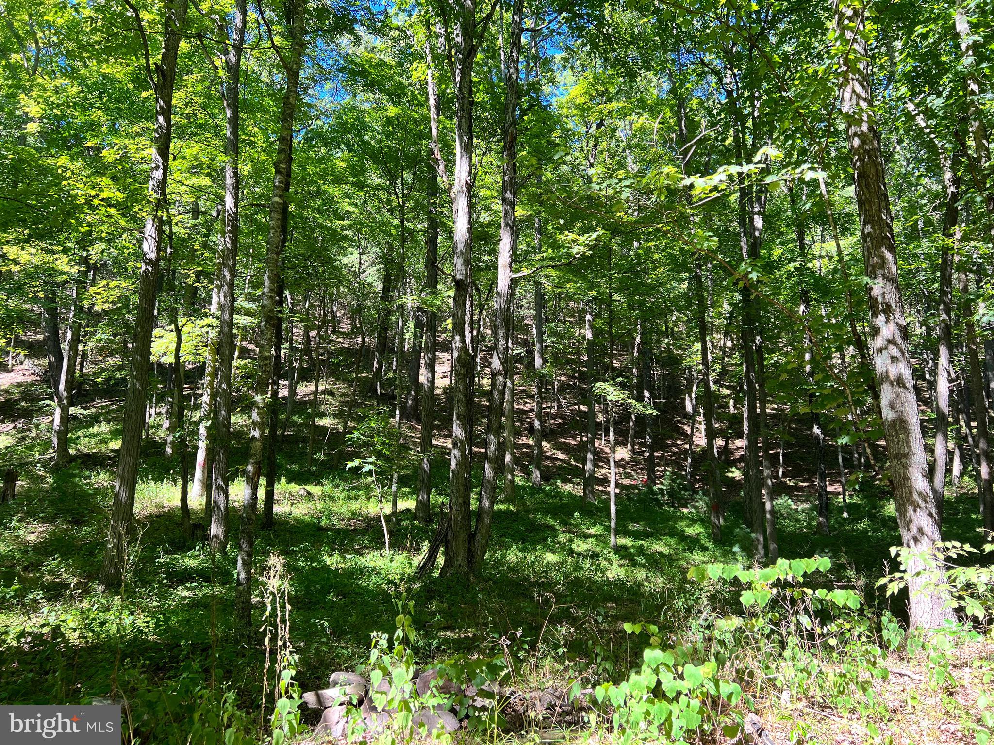 NONE-UNRESTRICTED - Residential