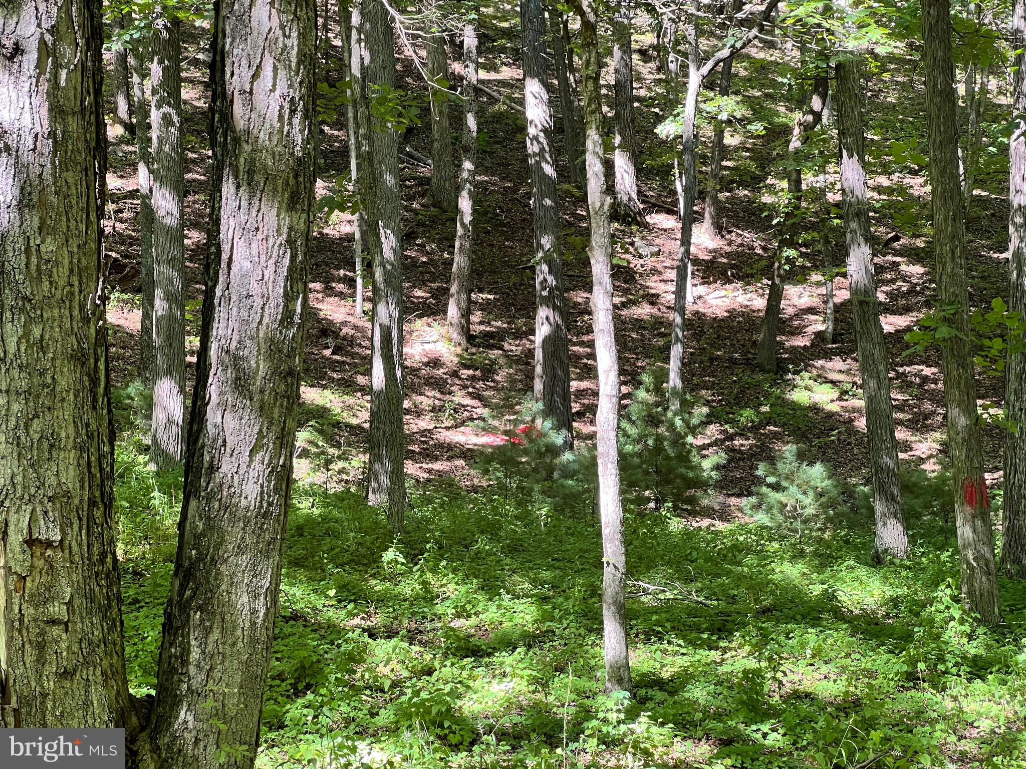 NONE-UNRESTRICTED - Residential