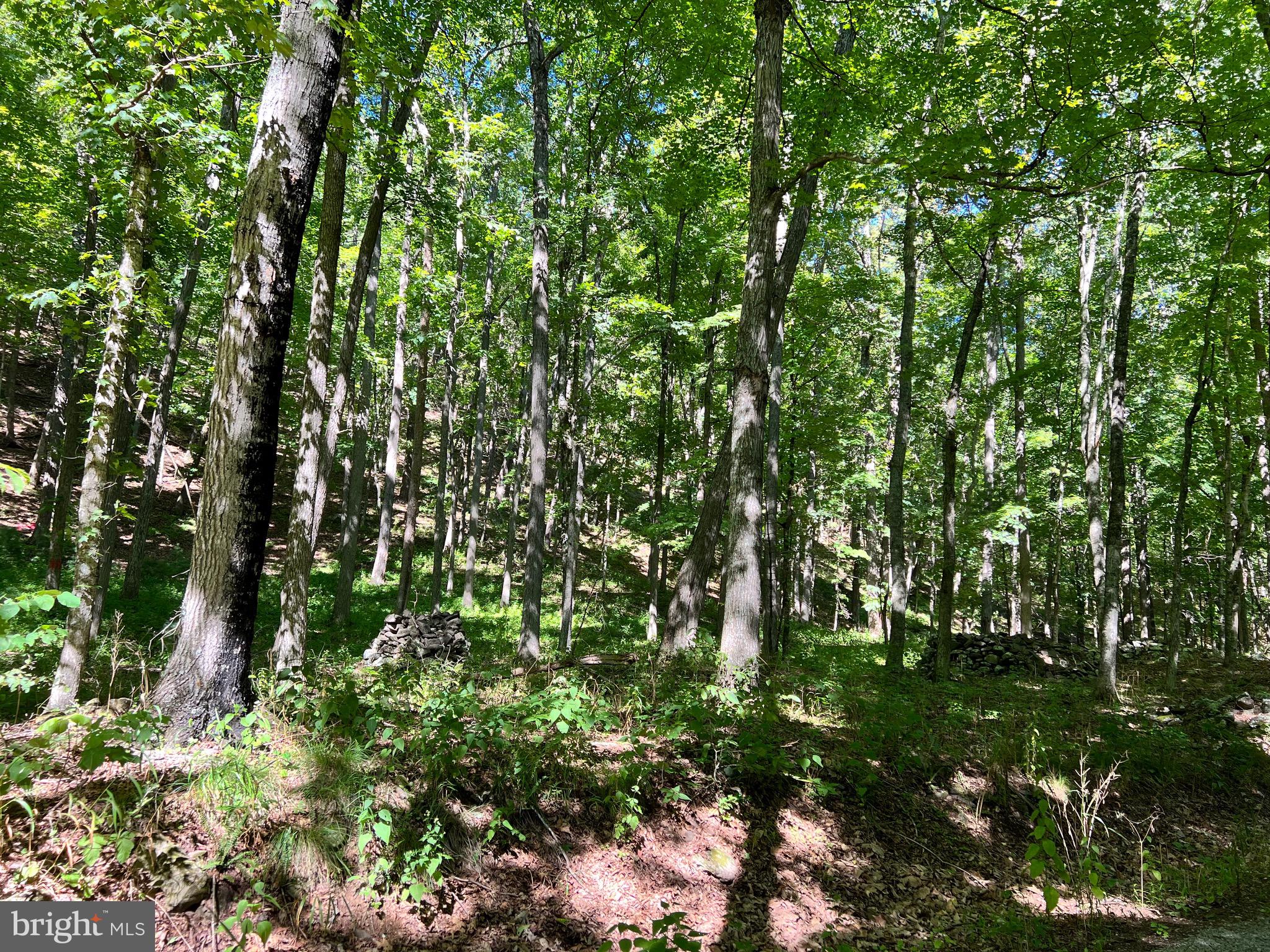 NONE-UNRESTRICTED - Residential