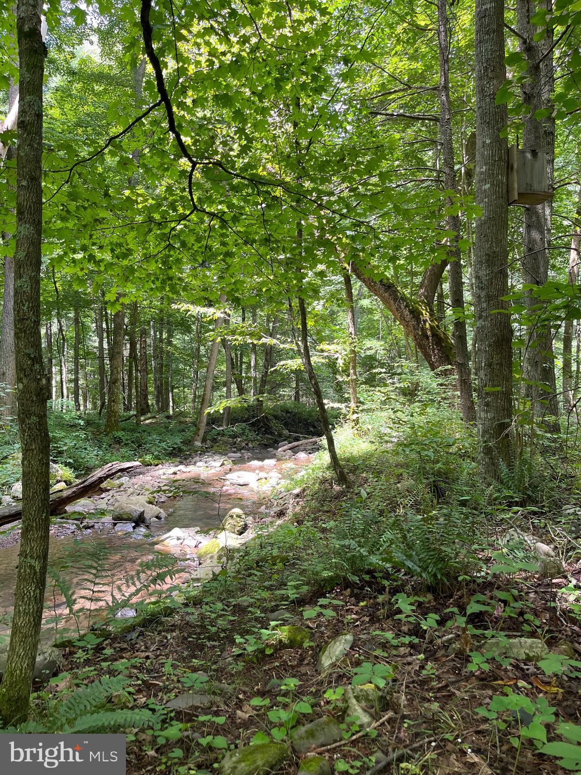 NONE-UNRESTRICTED - Residential