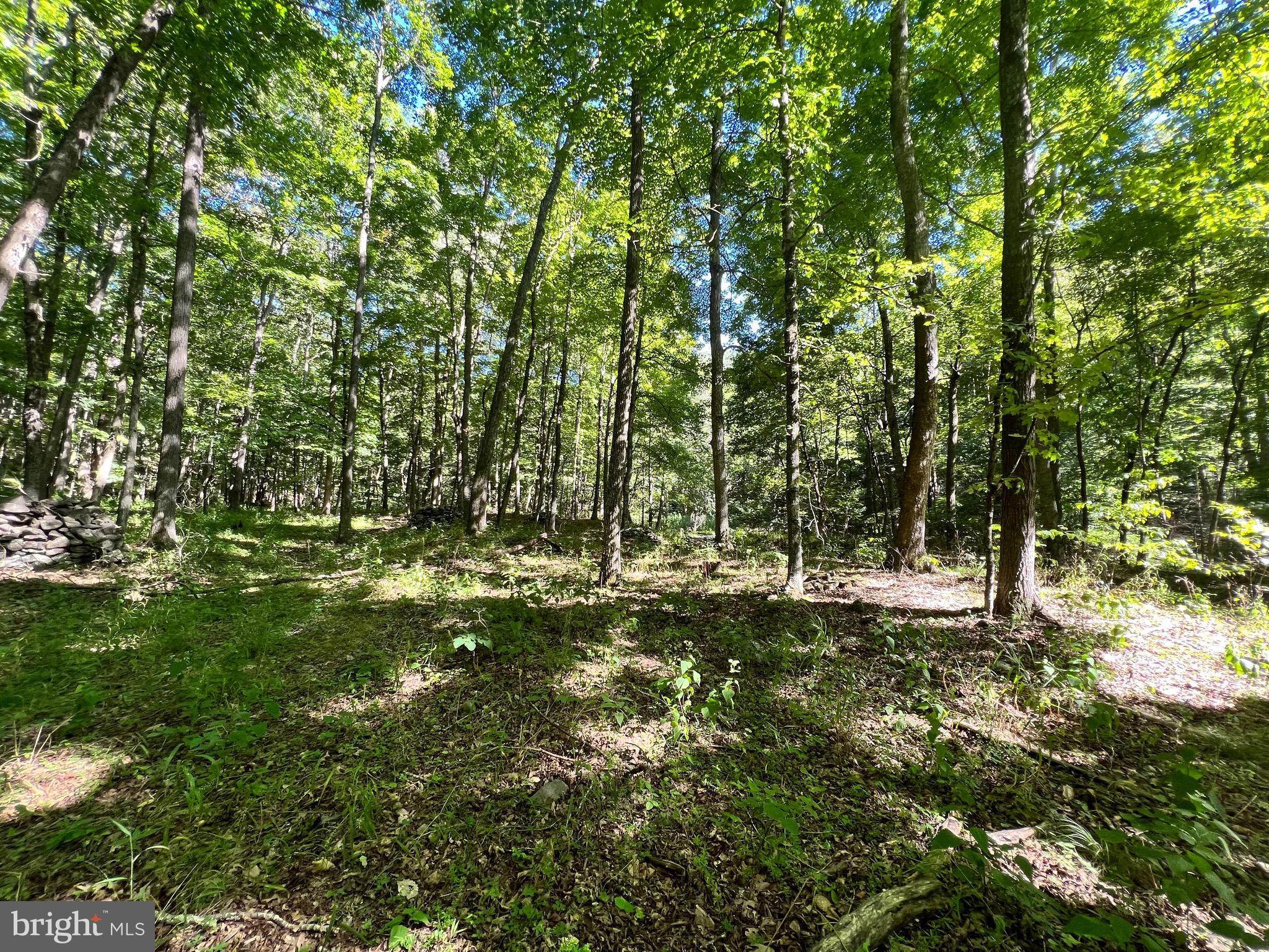 NONE-UNRESTRICTED - Residential